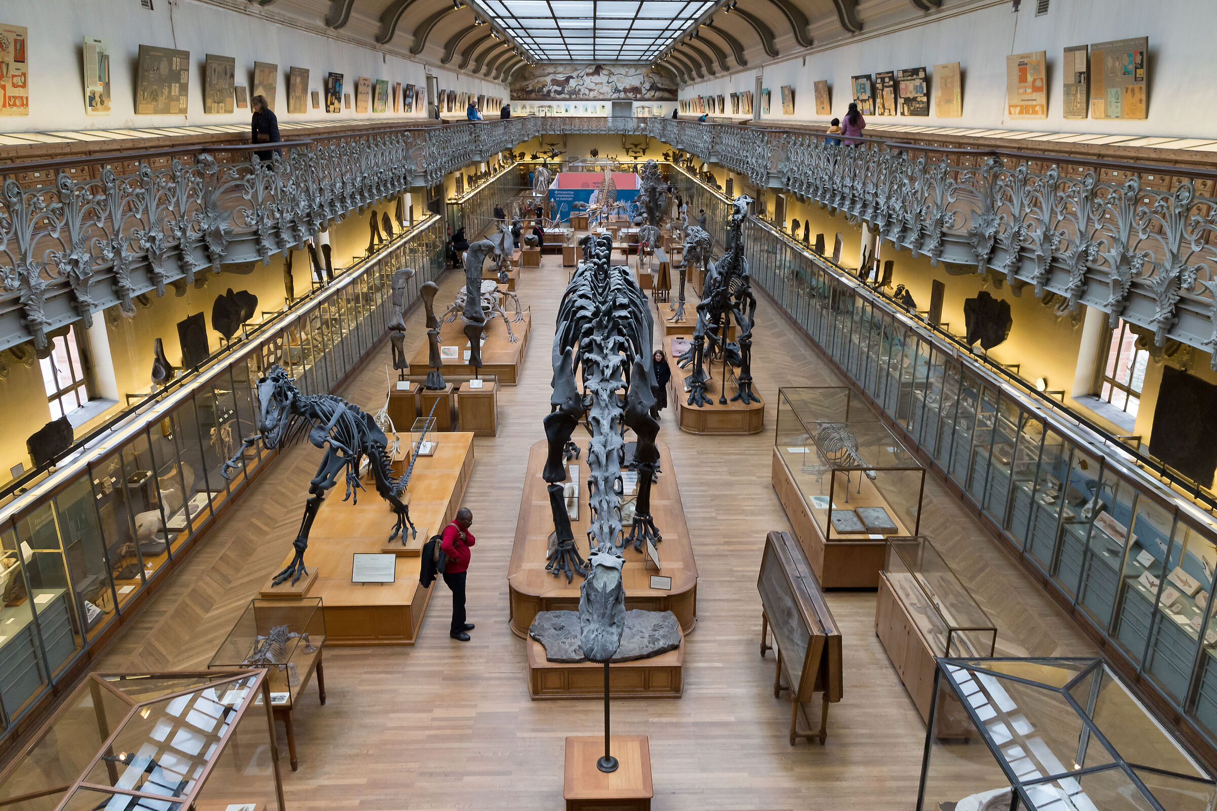 musee historie naturelle