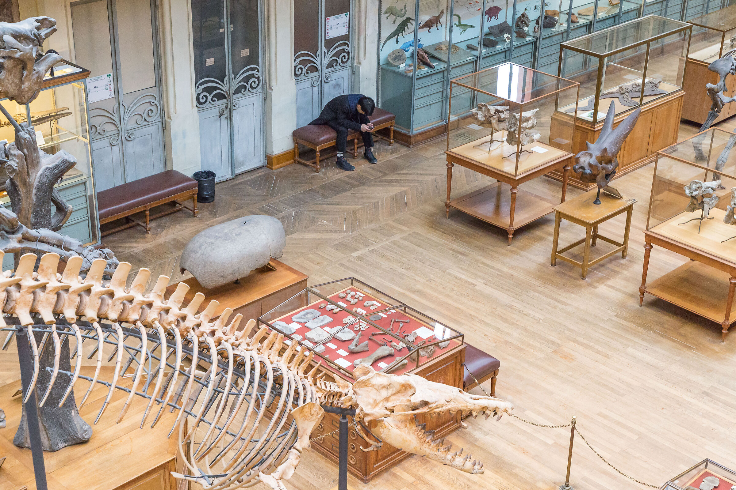 musee historie naturelle