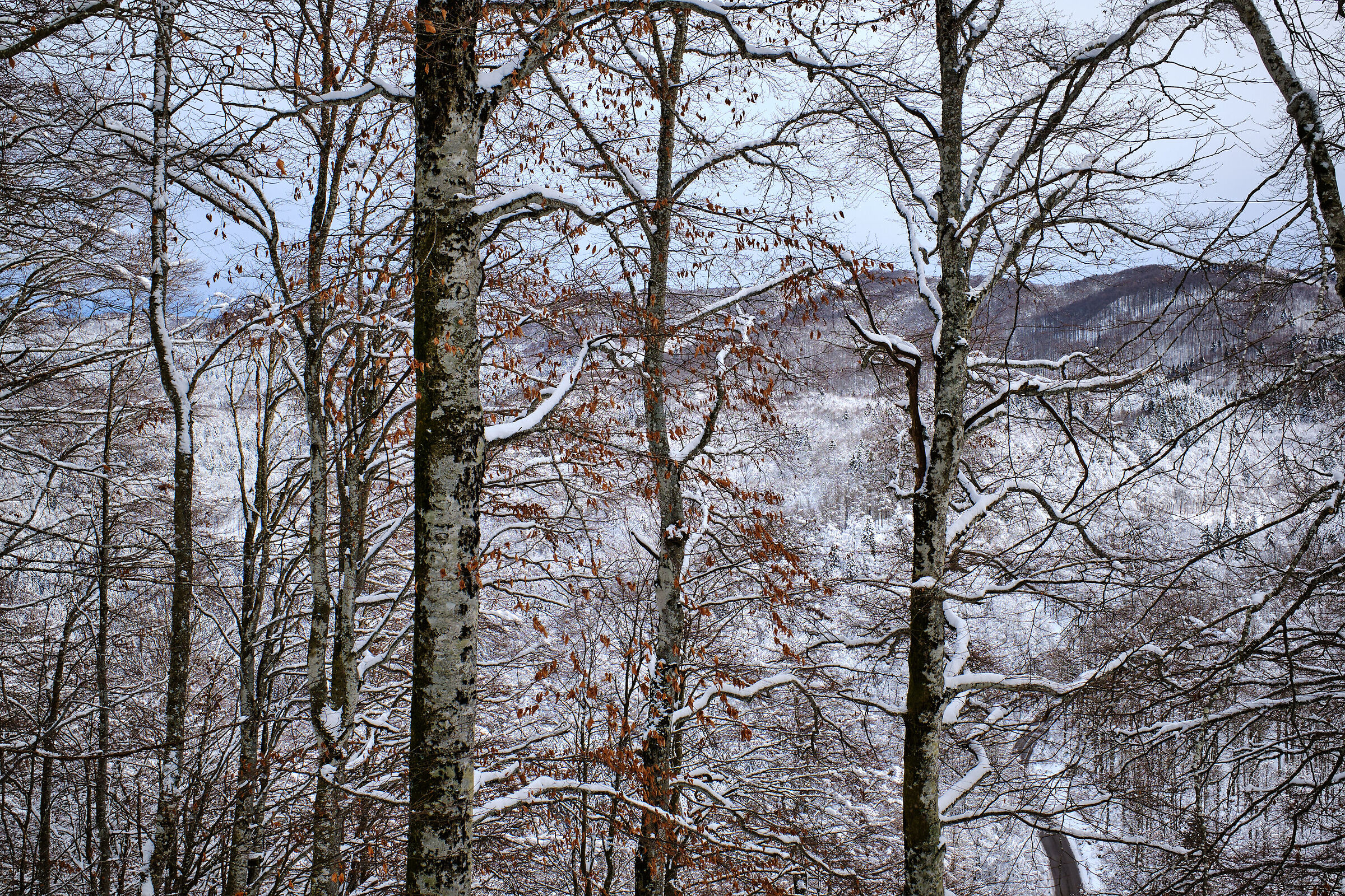Painting... in nature!!