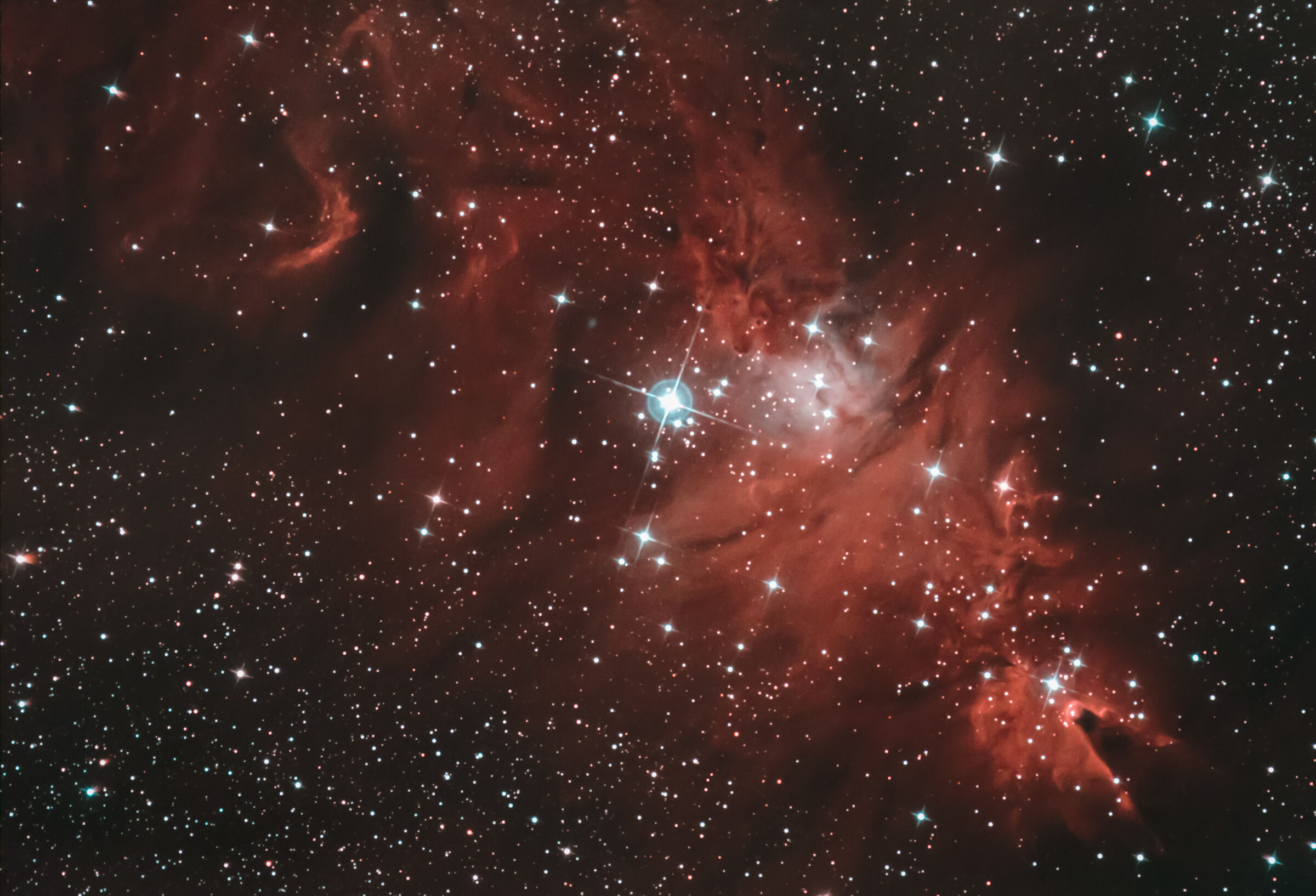 Ngc 2264