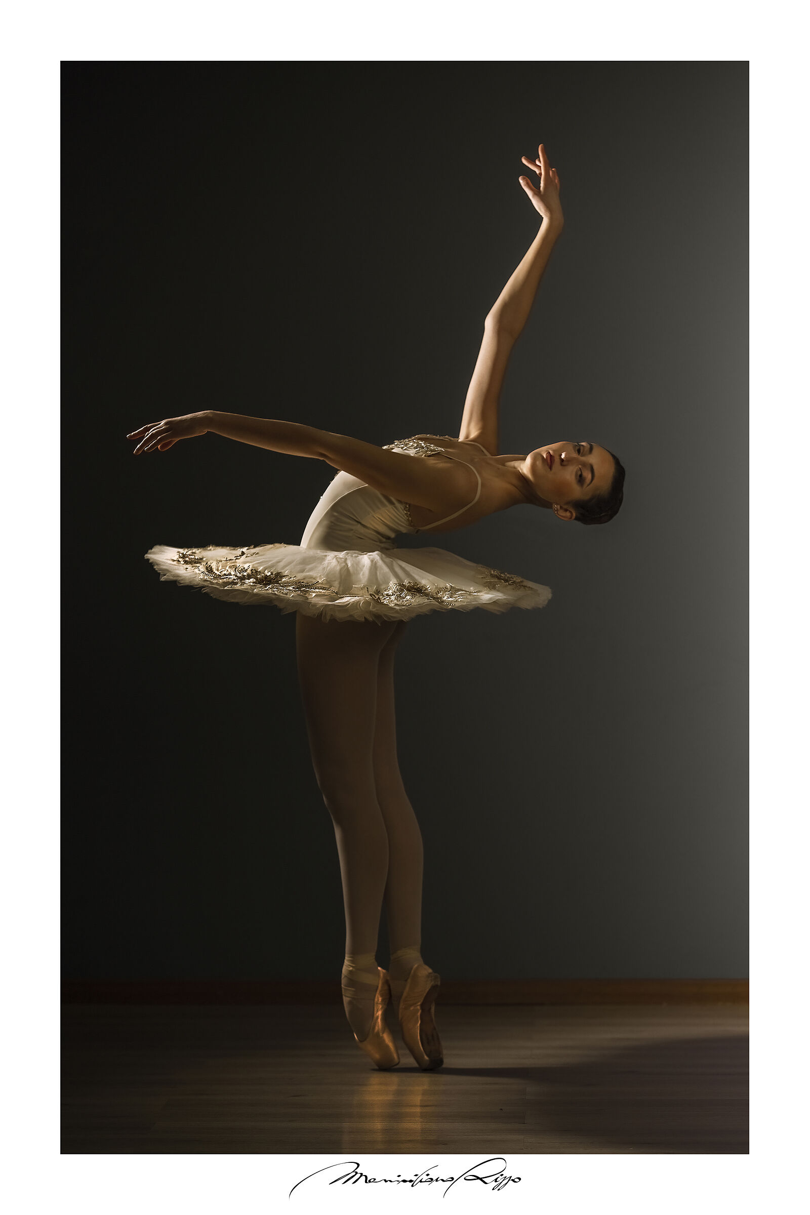 "Portraits on tiptoe" 4