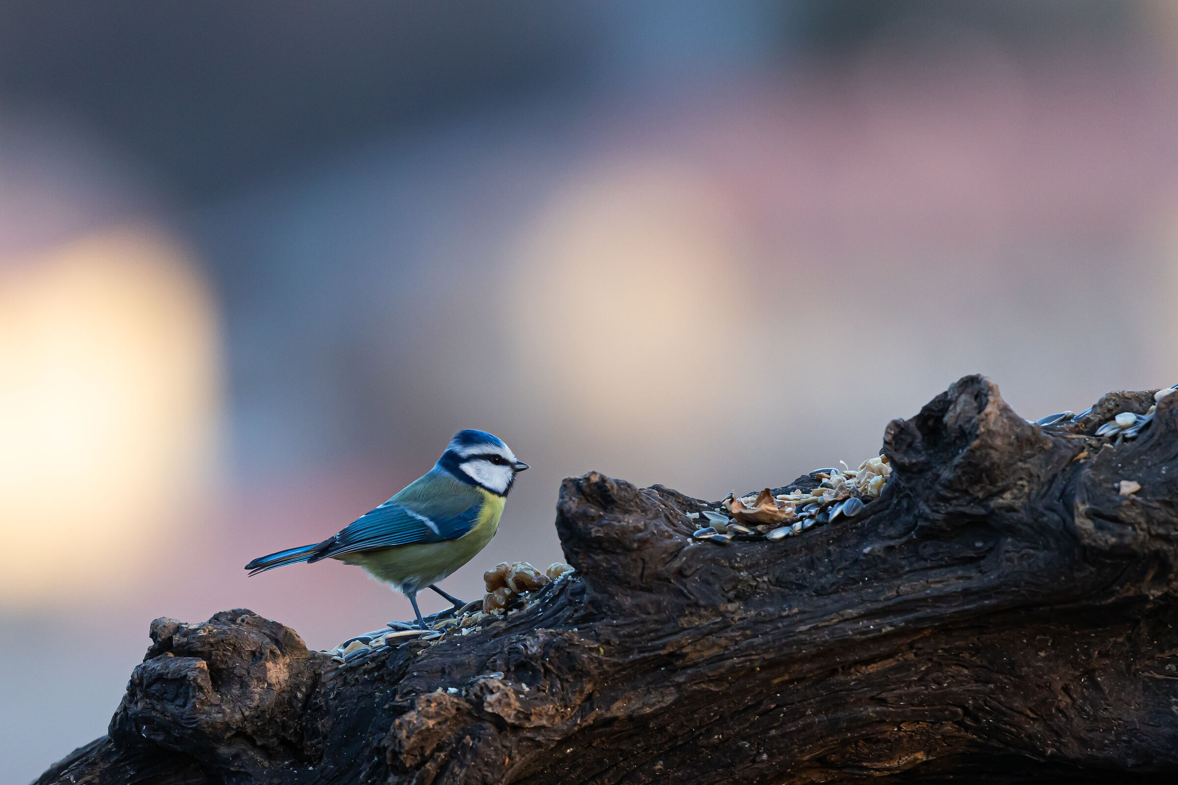 Curone Park - Montevecchia