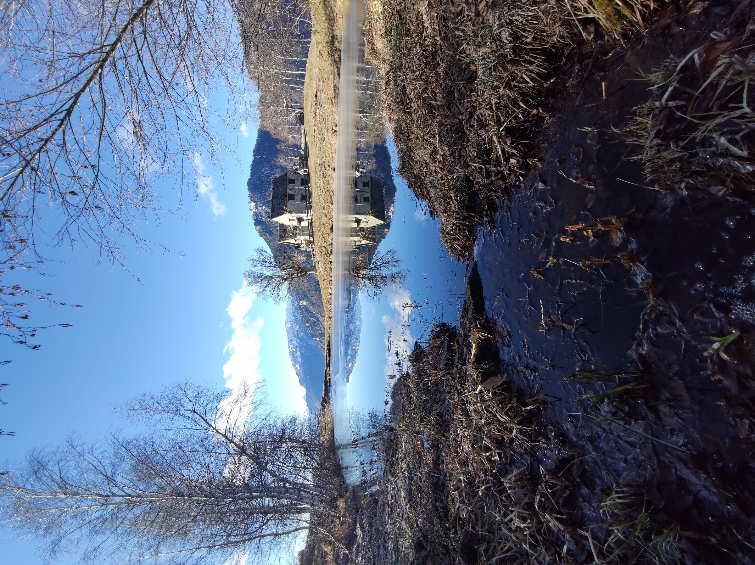Alagua