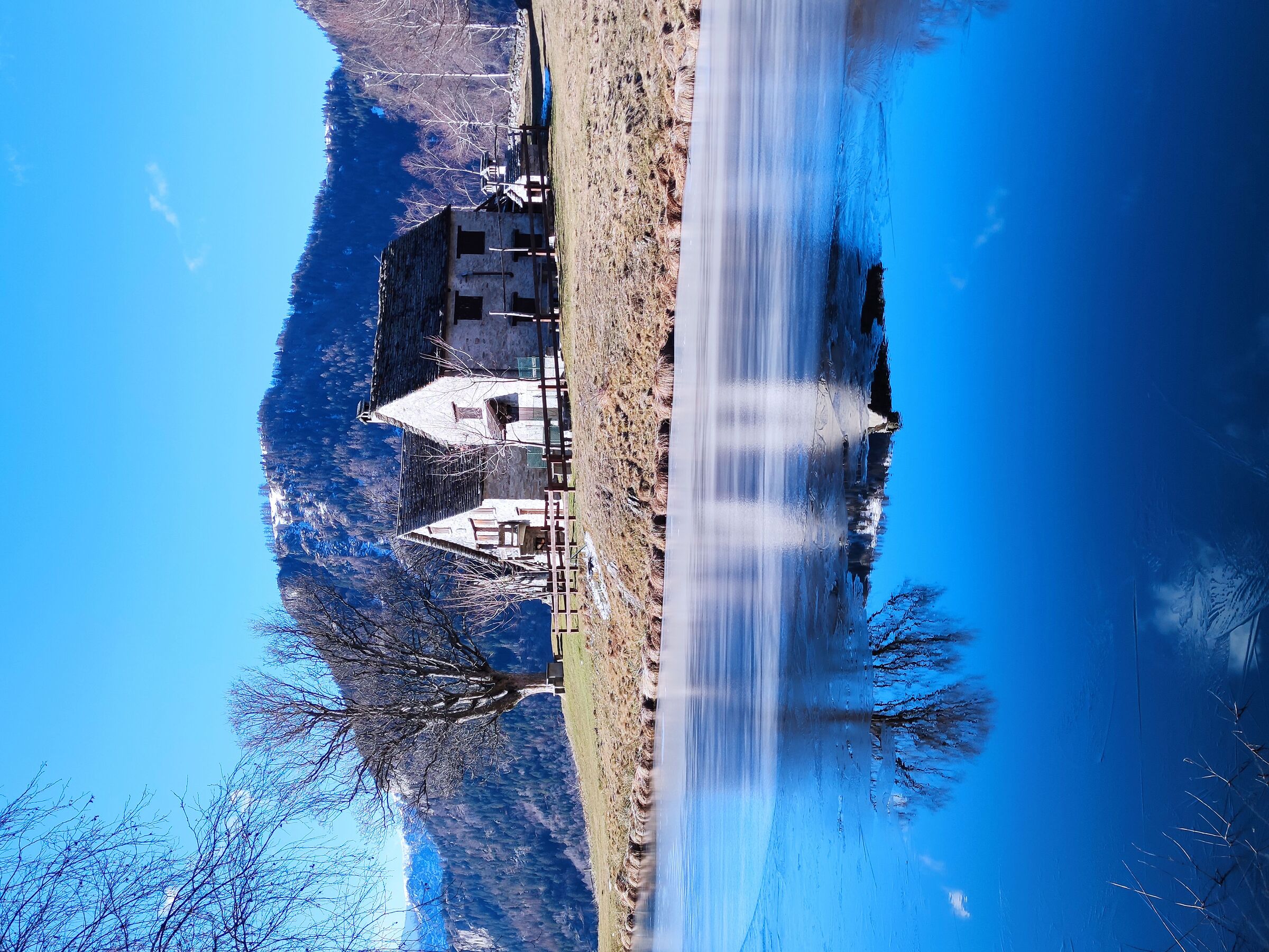 Alagua