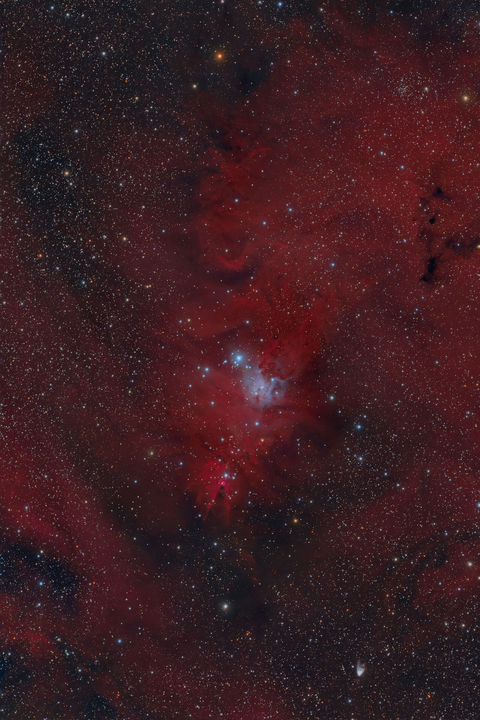 Nebulosa Cono