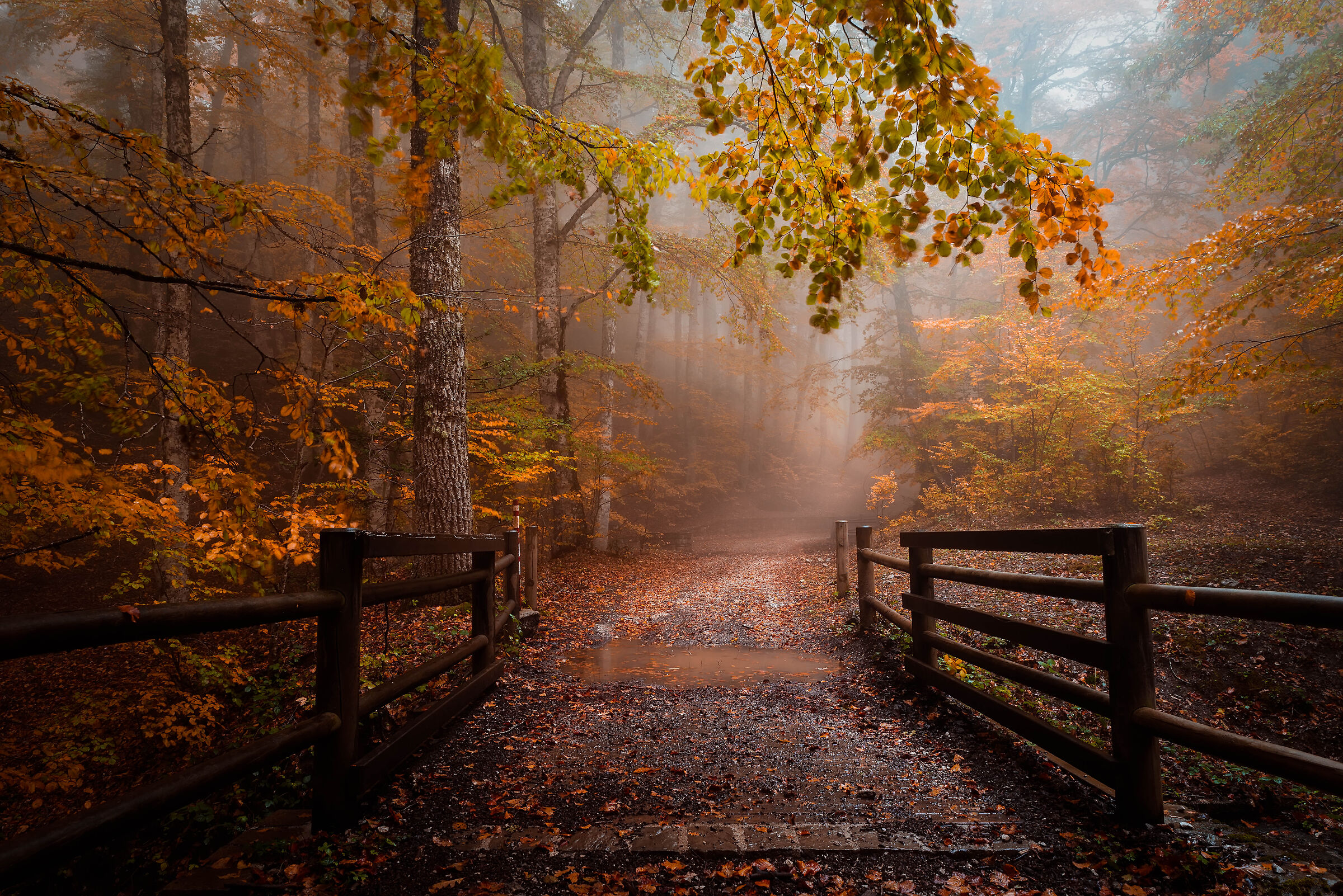 Momenti d'autunno_02