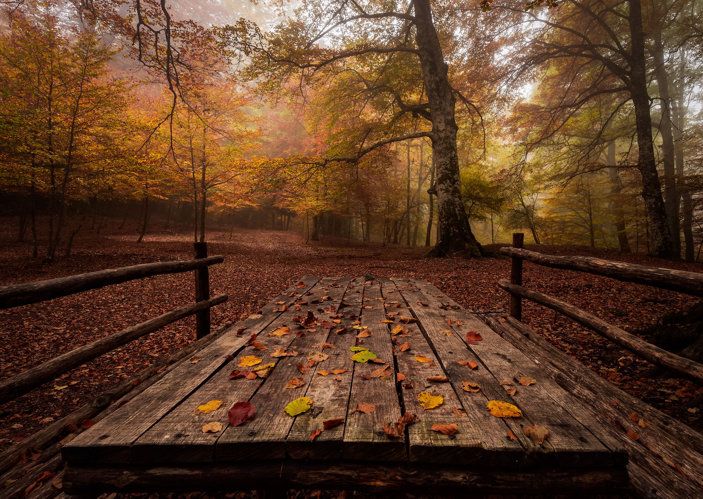 November