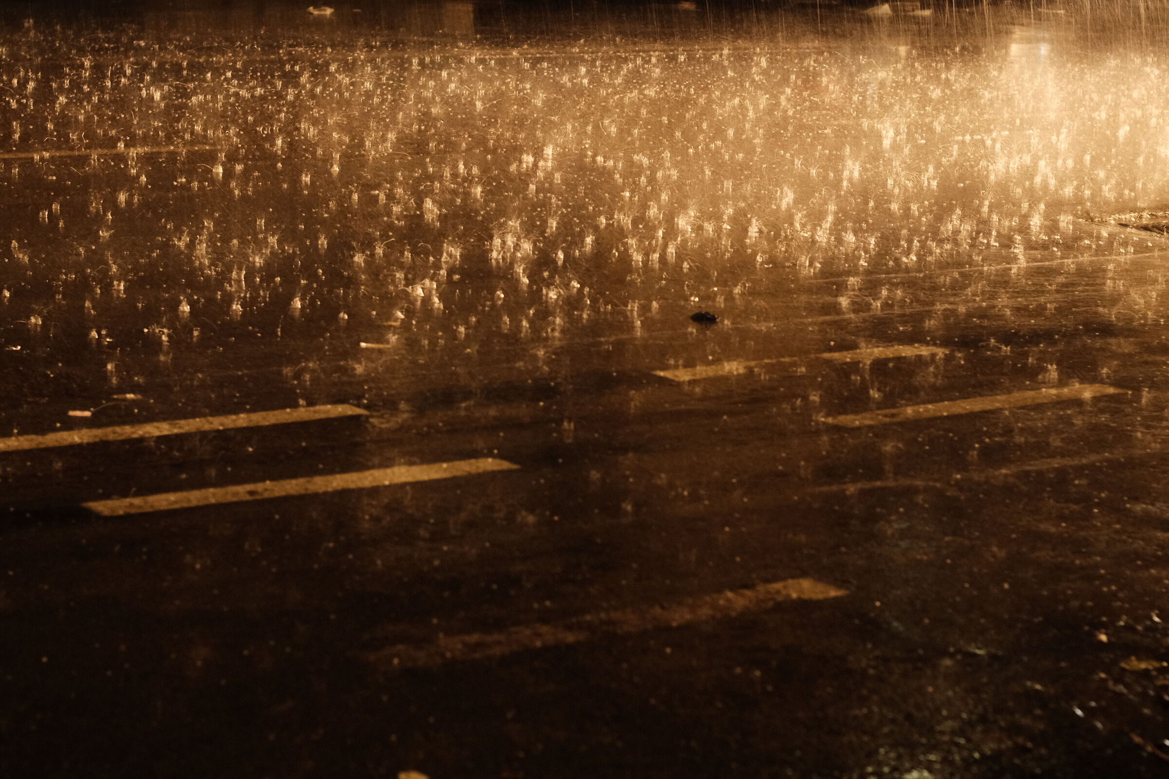 The water that bathes