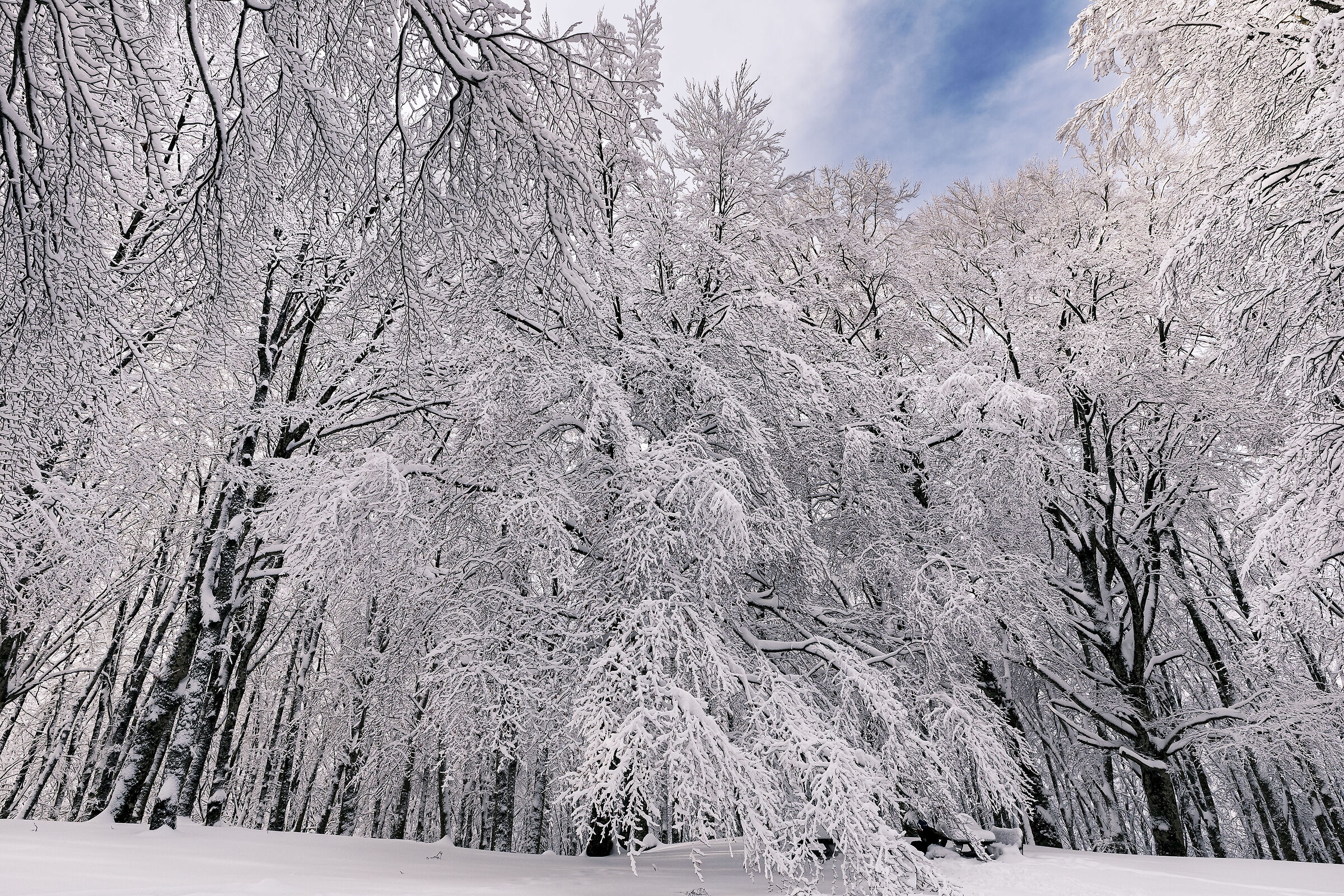 Faito winter wonderland