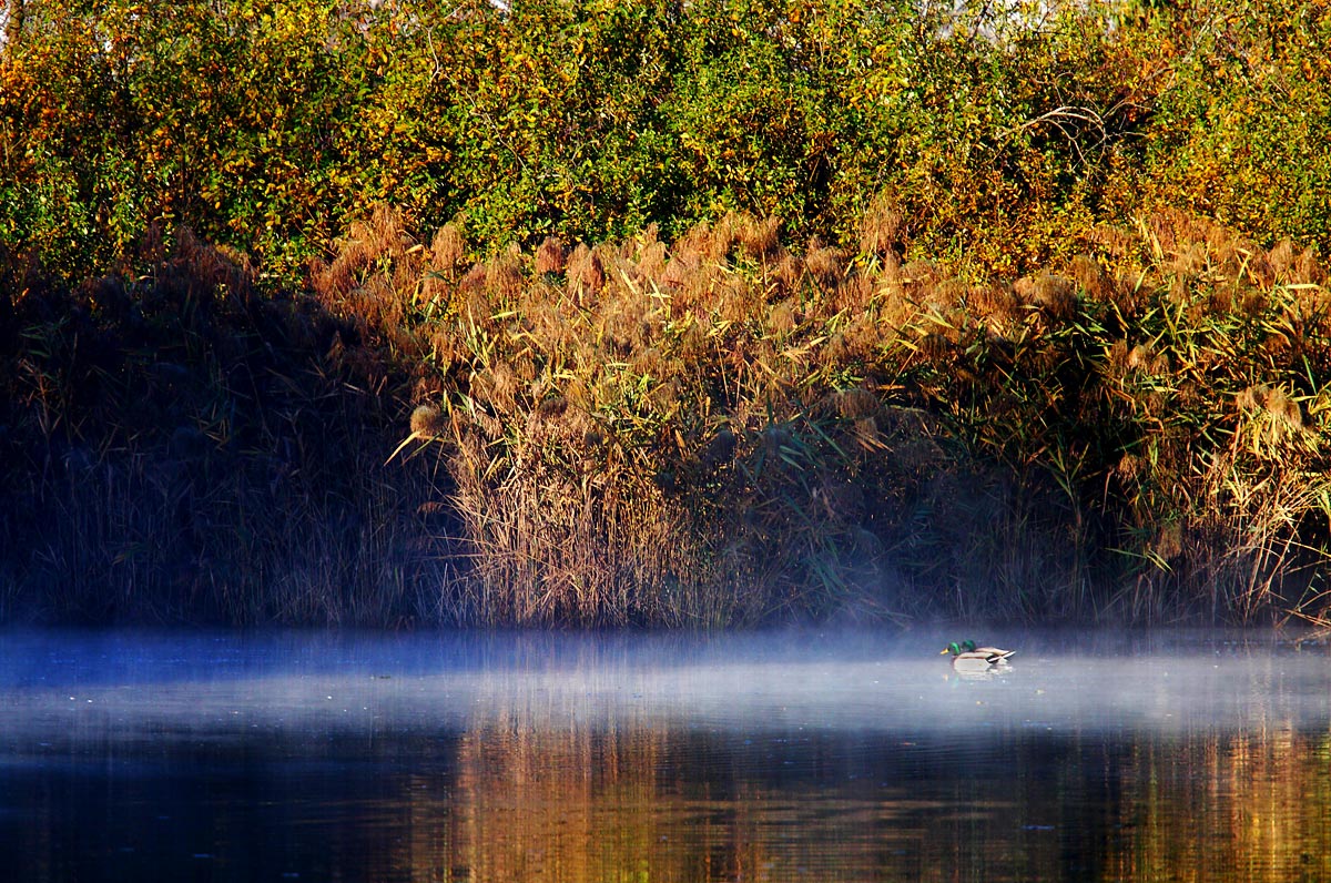 The breath of the lake