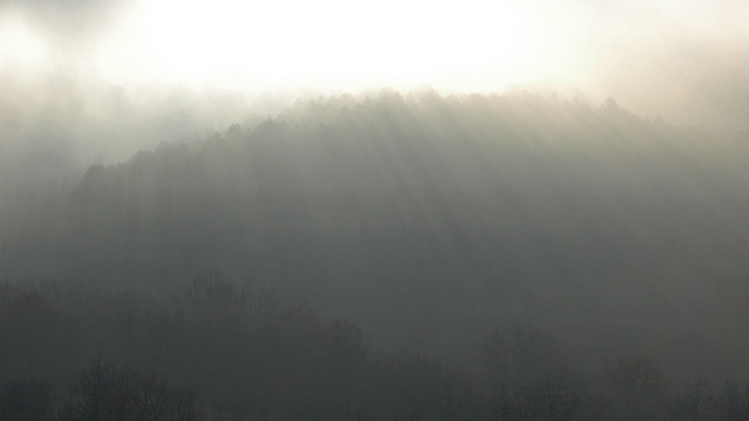 nebbia e alberi, Osp Slovenia