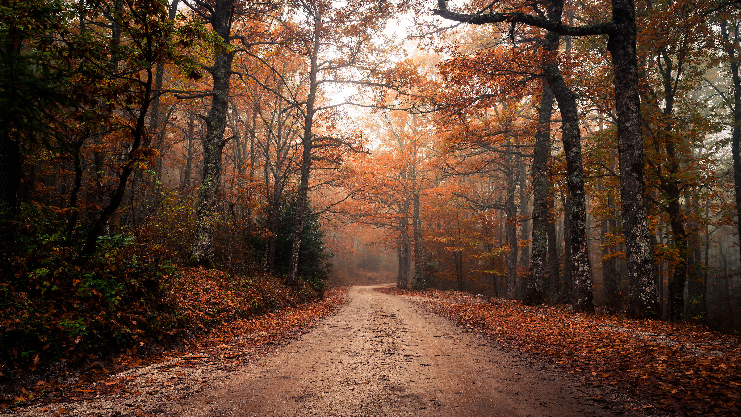 Atmosfere d'autunno