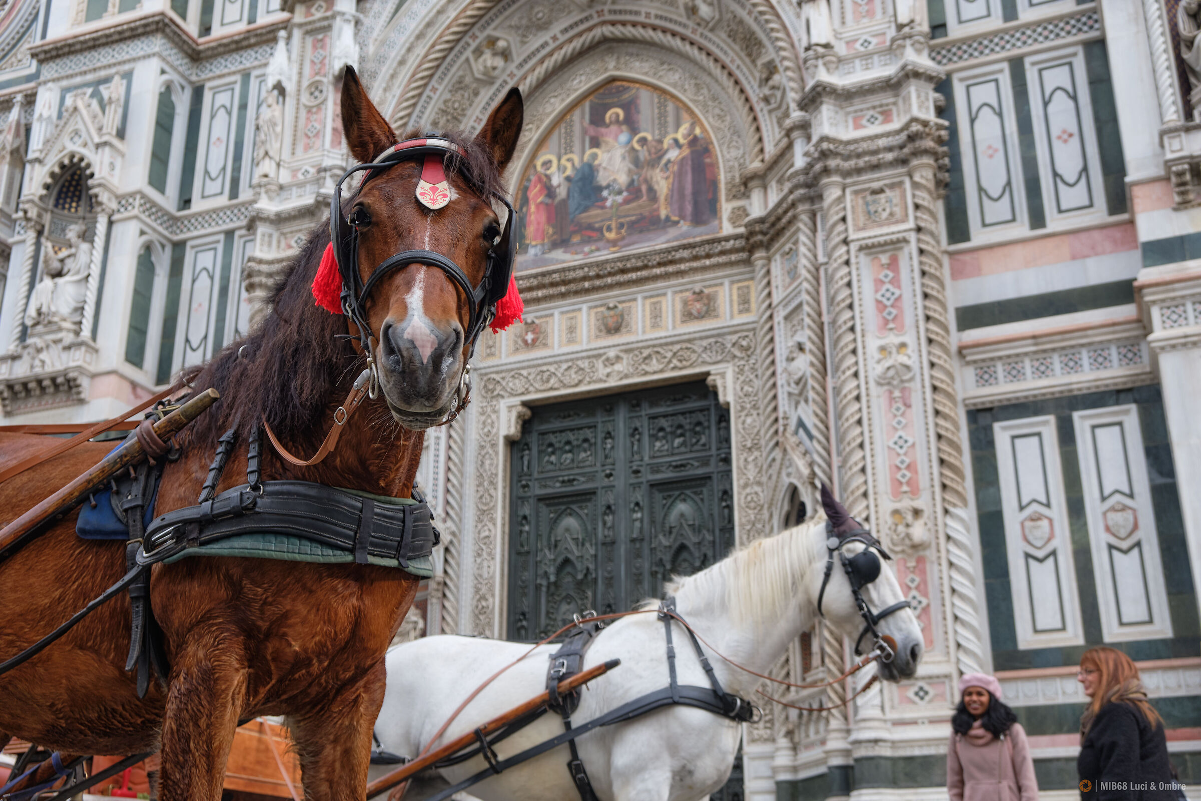 Firenze, Facciata Duomo