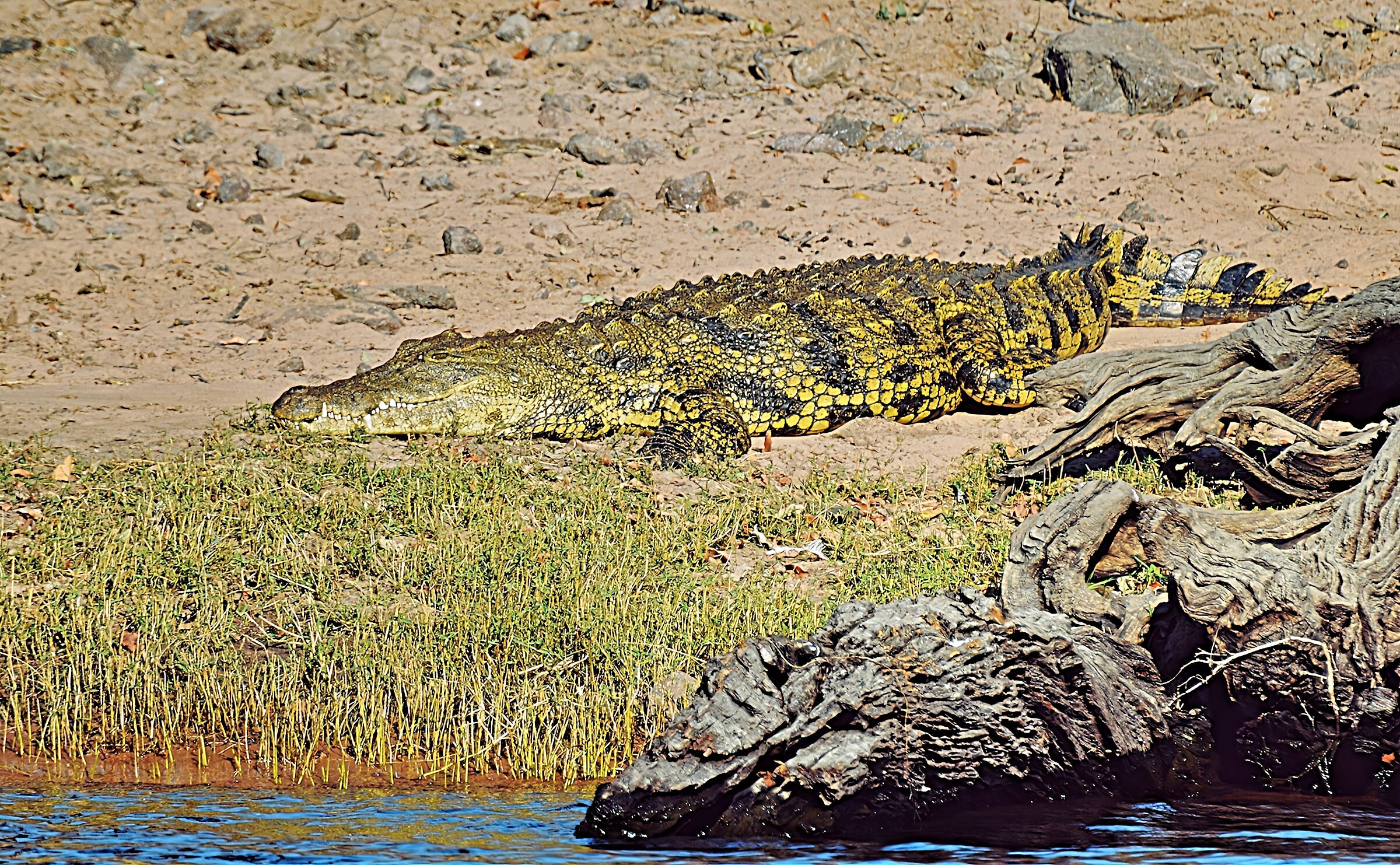 Con quello sguardo un po' così....