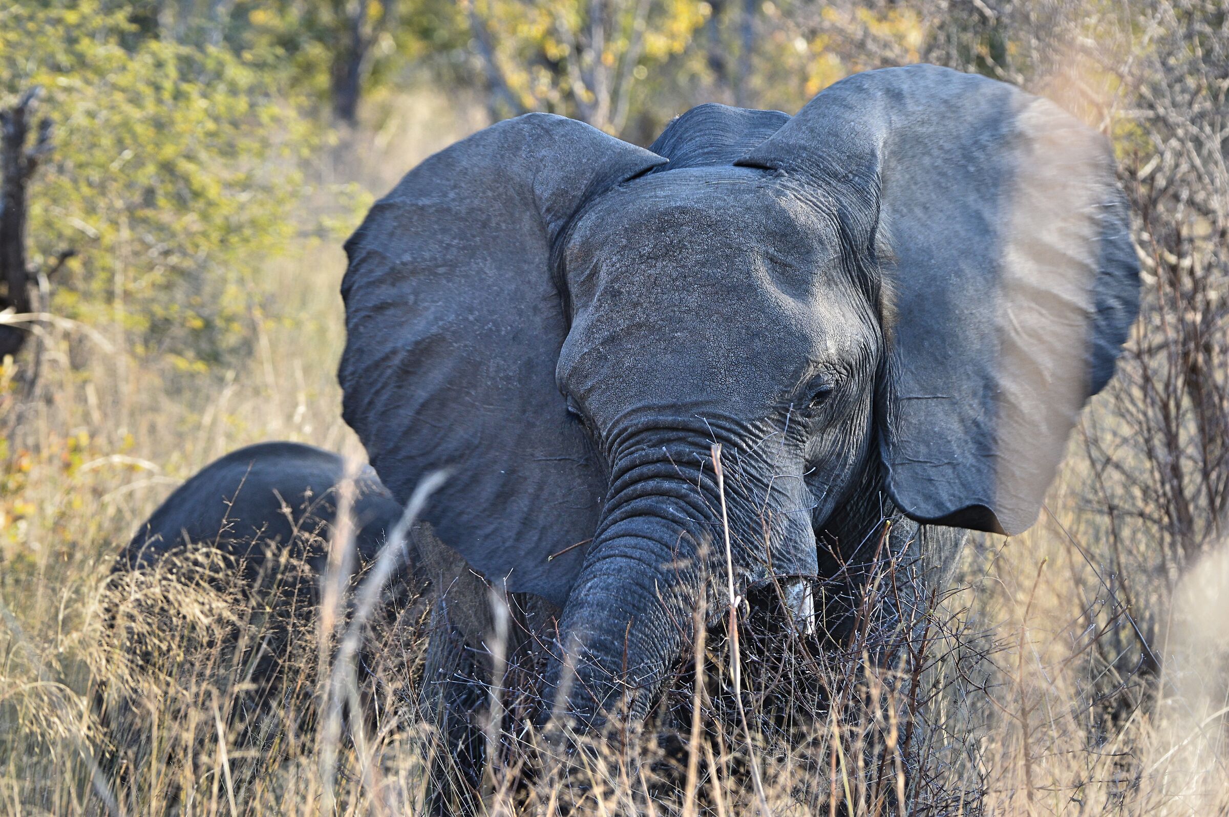 ... that expression a bit 'so ....