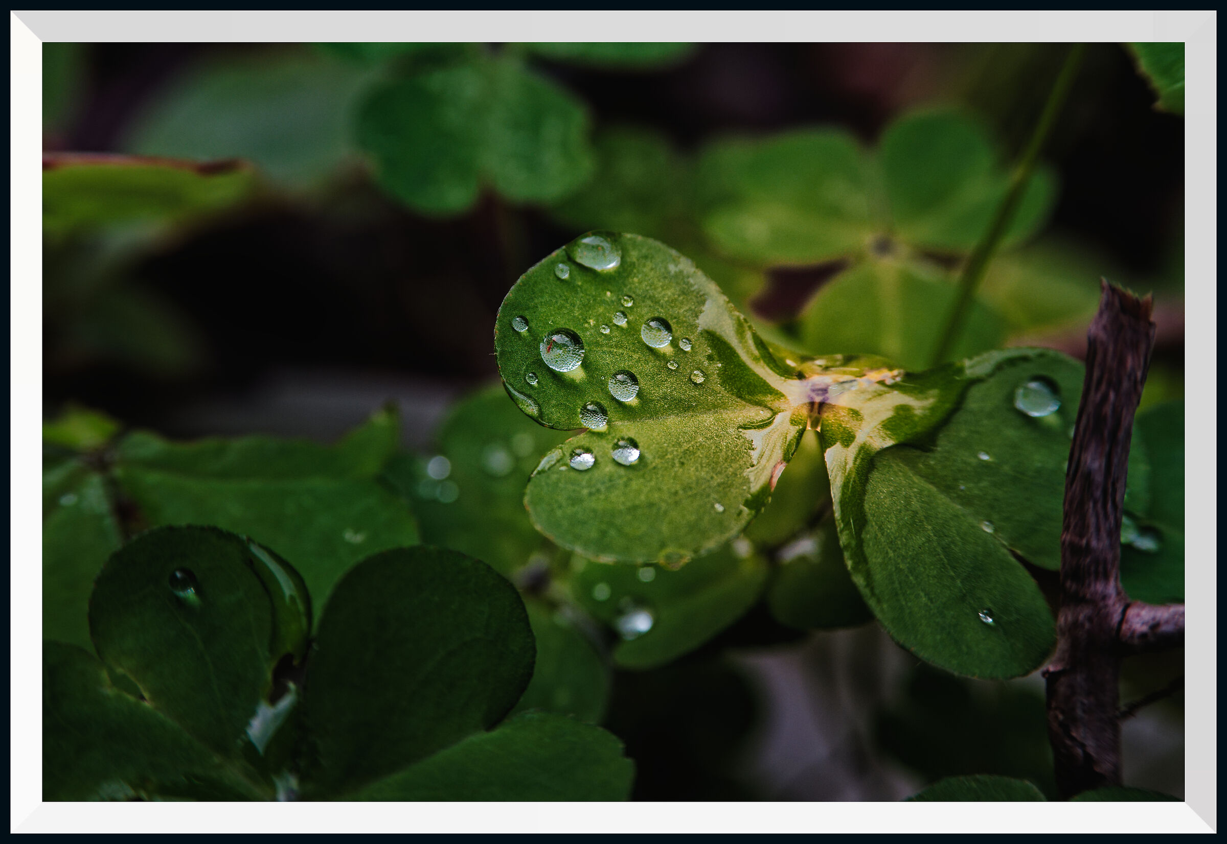Untitled Photo