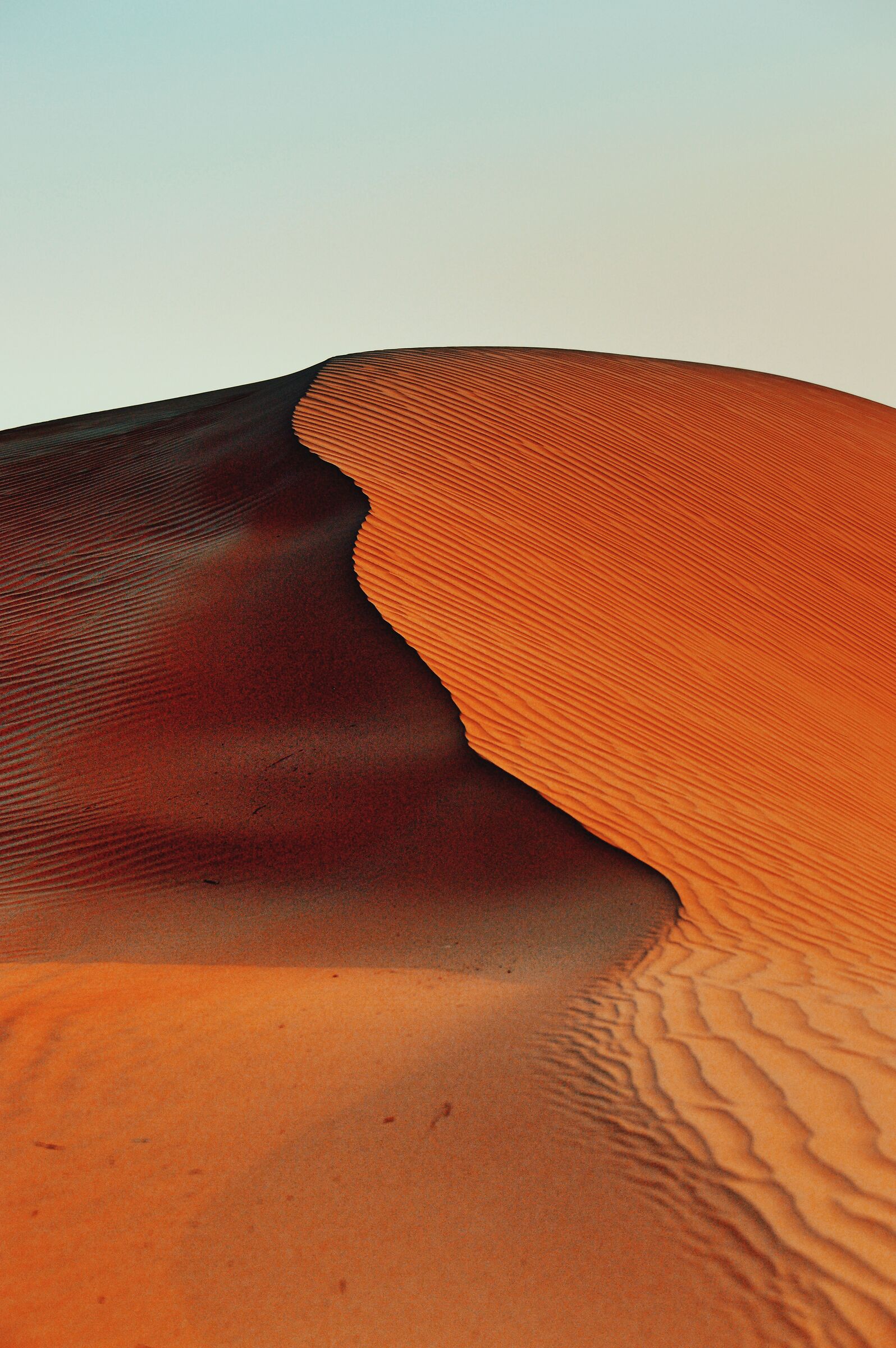 Dune ridge at sunset