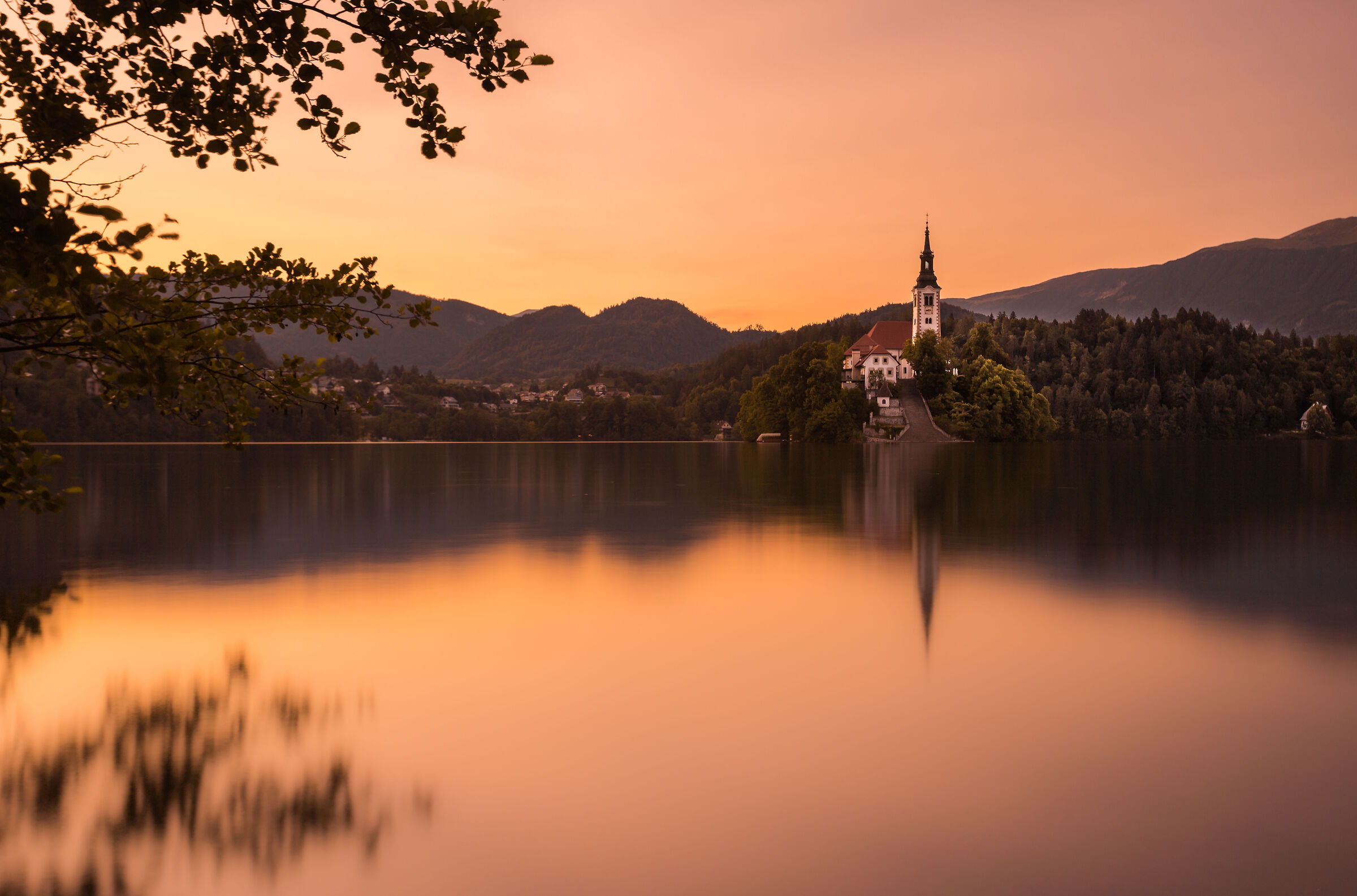 Bled