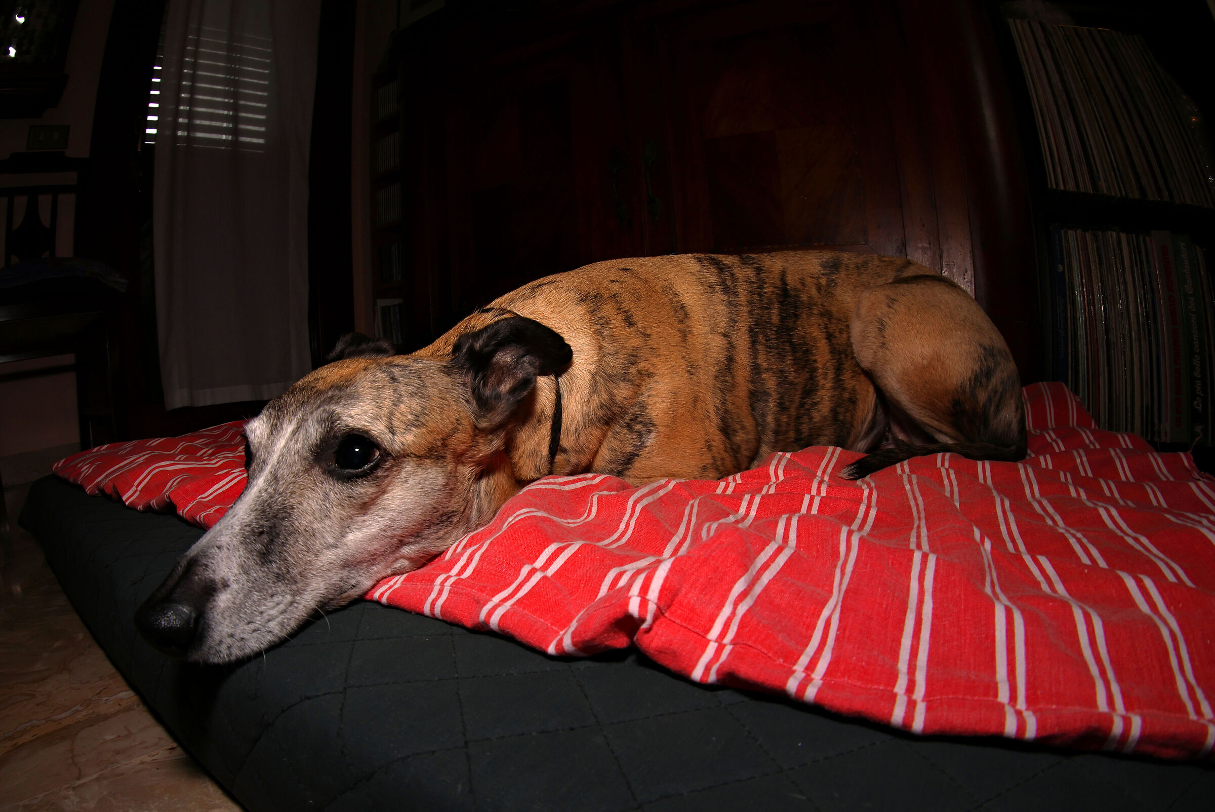 Meike Test 8mm 1:3.5