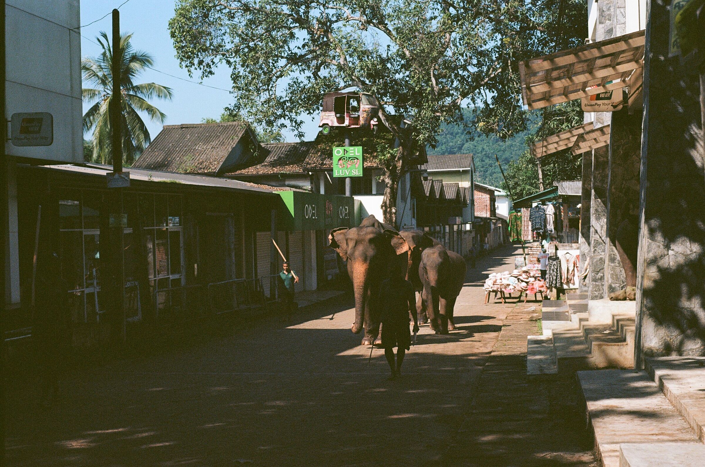 sri lanka kodak ektacrome 100 iso
