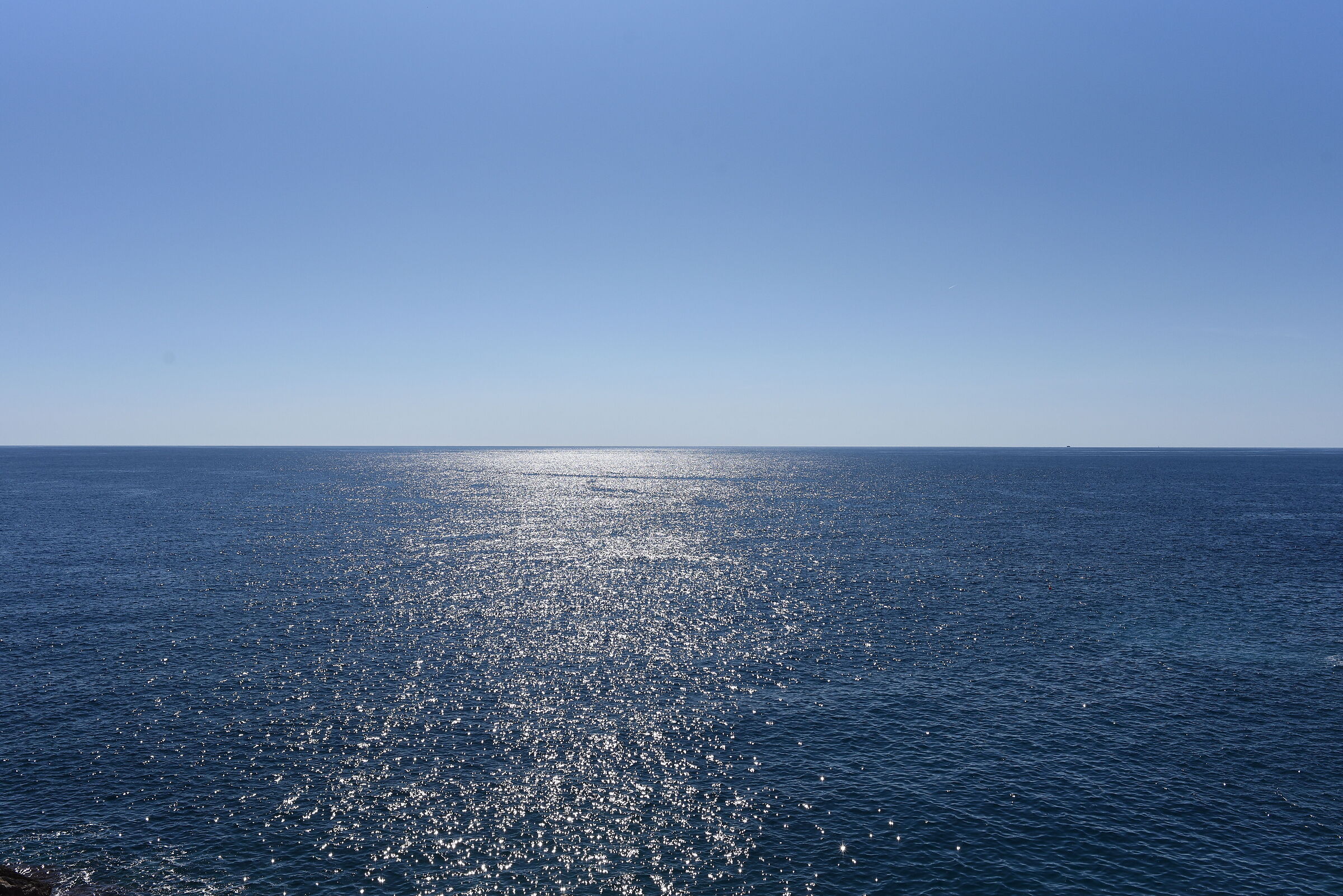 " F. 8 ", ISO 500, 1/4.0 0 0- Otus Zeiss 28, 1.4- ...