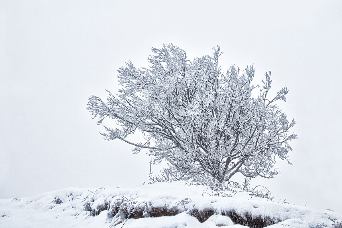 Dopo una nevicata!