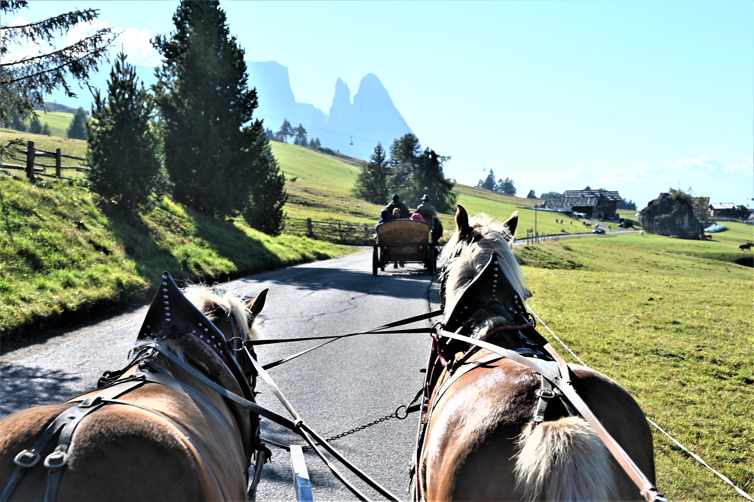 Carrozza con cavalli al Alpi di Siusi