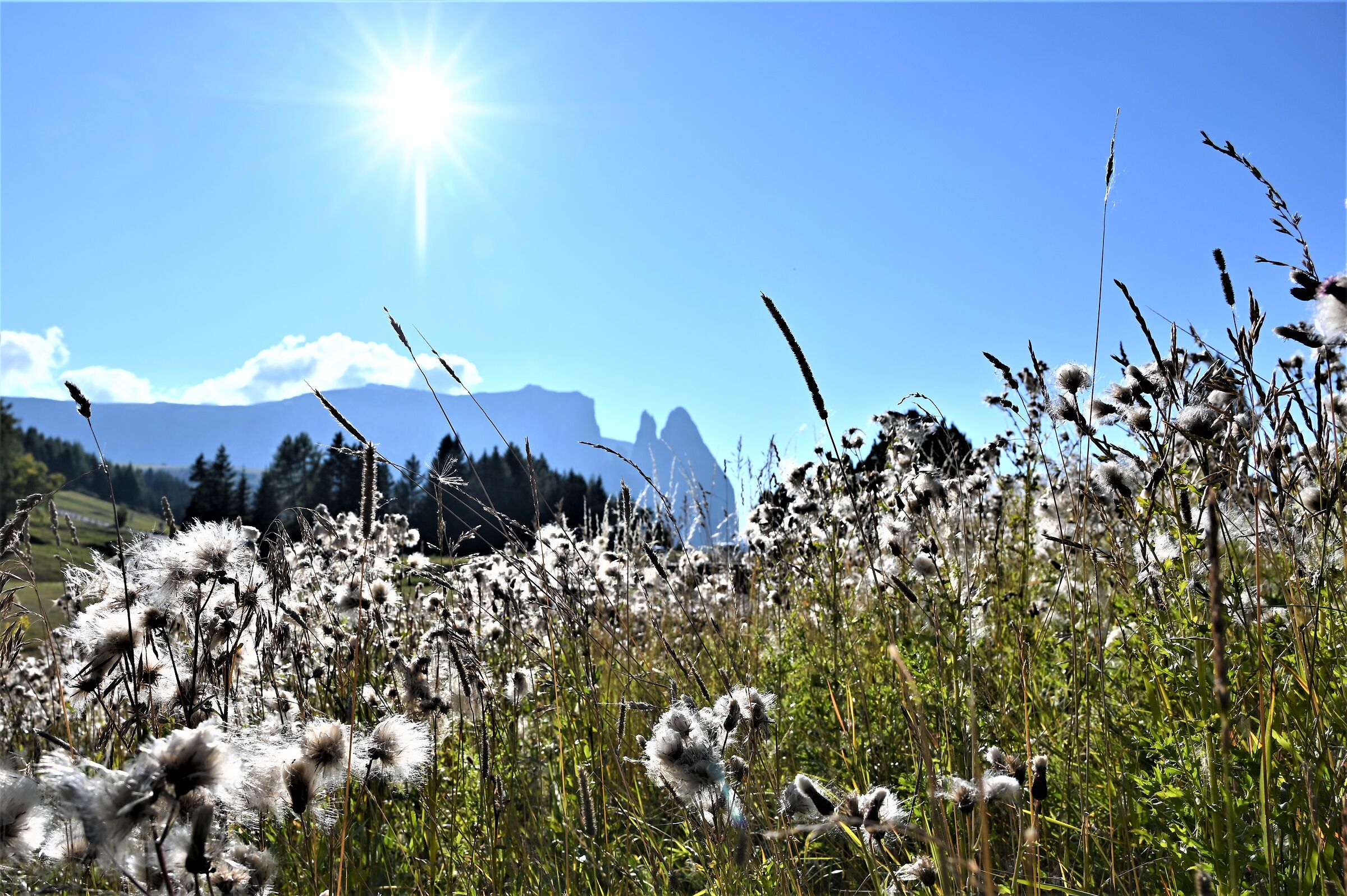 Tramonto al' Alpi di Susi
