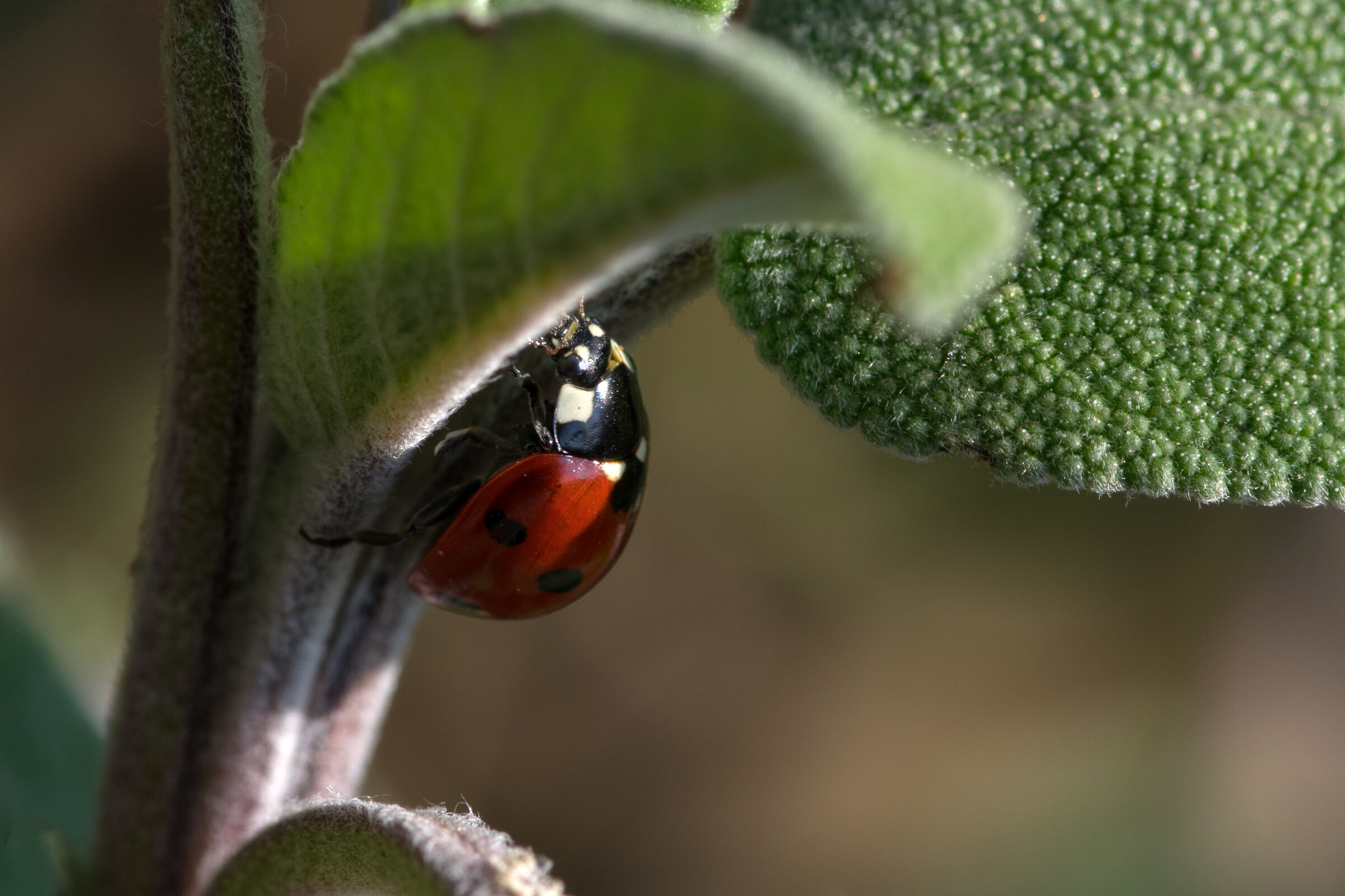 Timid signs of spring