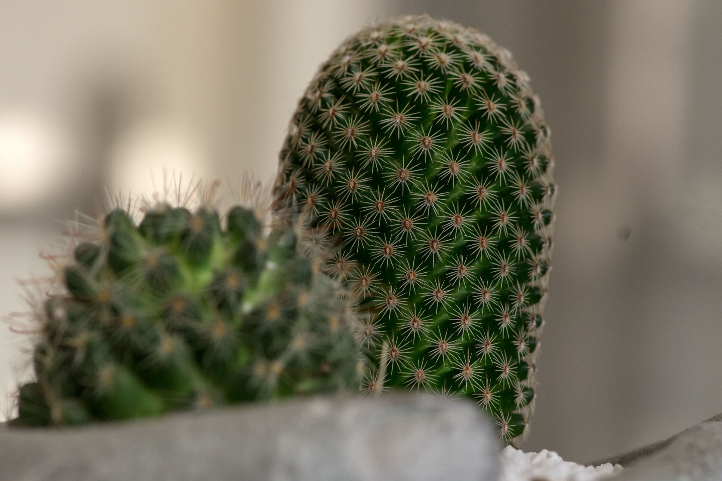 It's a thorny issue....