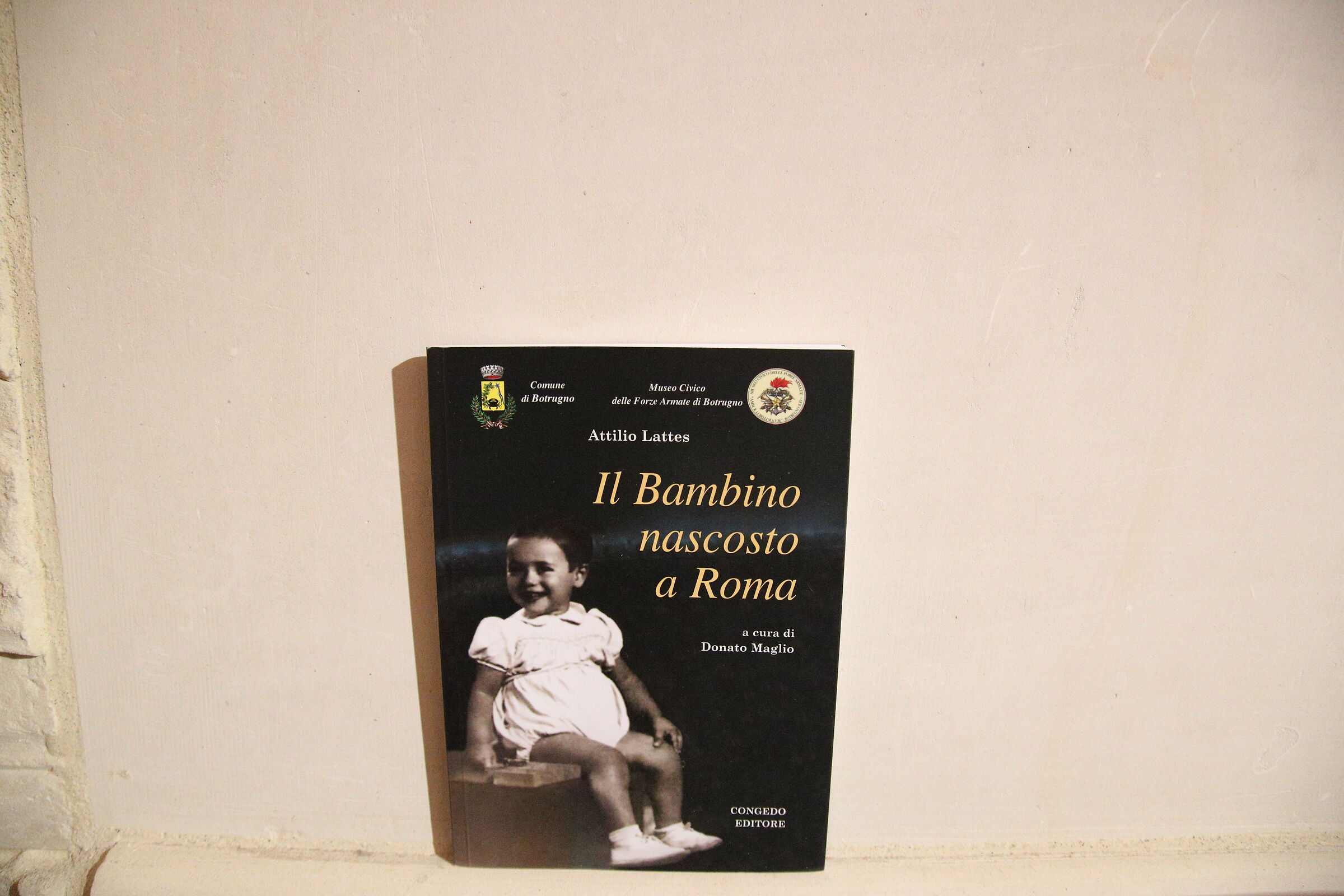 " ISO DodicimilaOttocento ", Sigma 24-105 F. 4 Art...