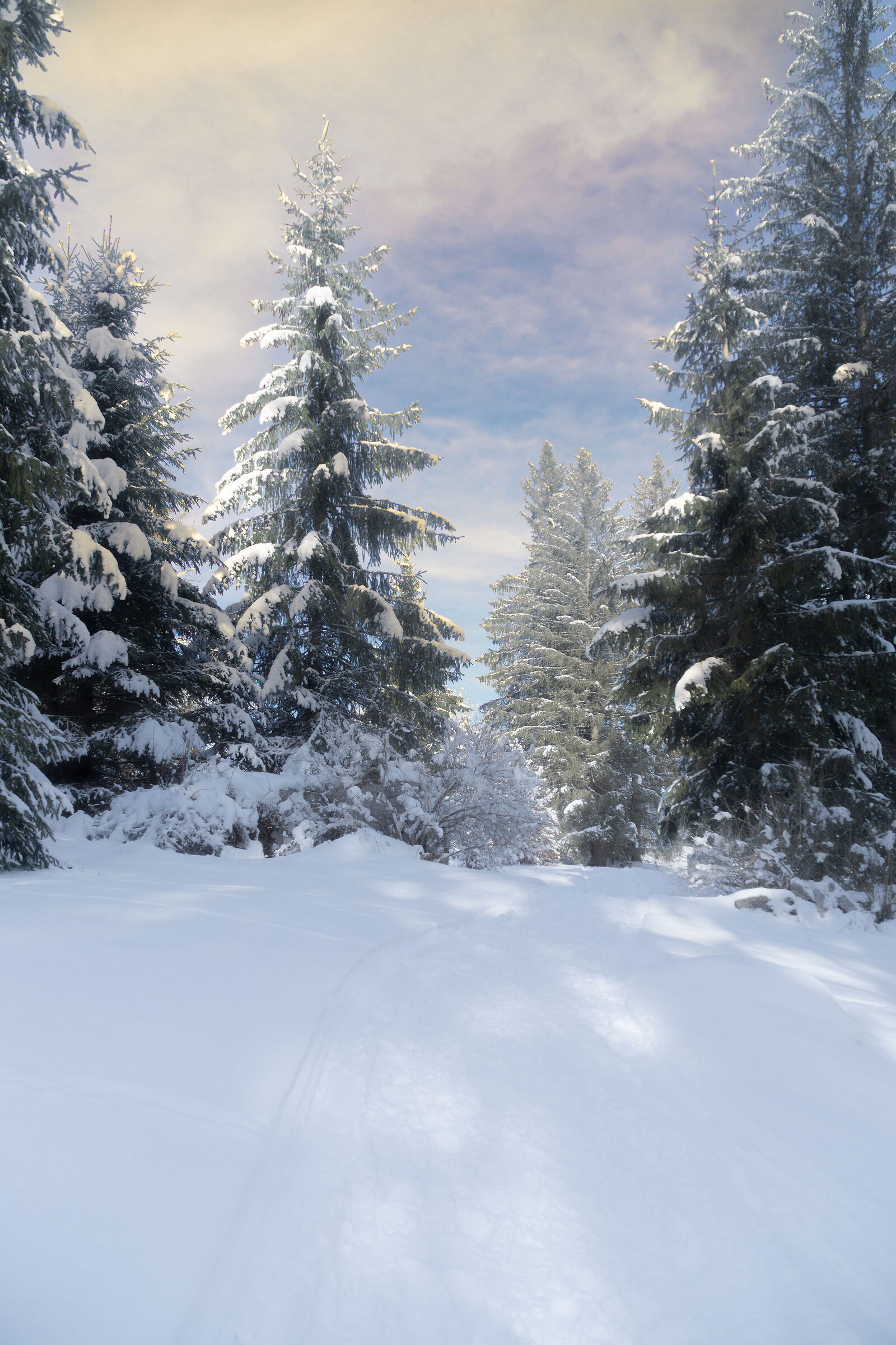 quadro d'inverno