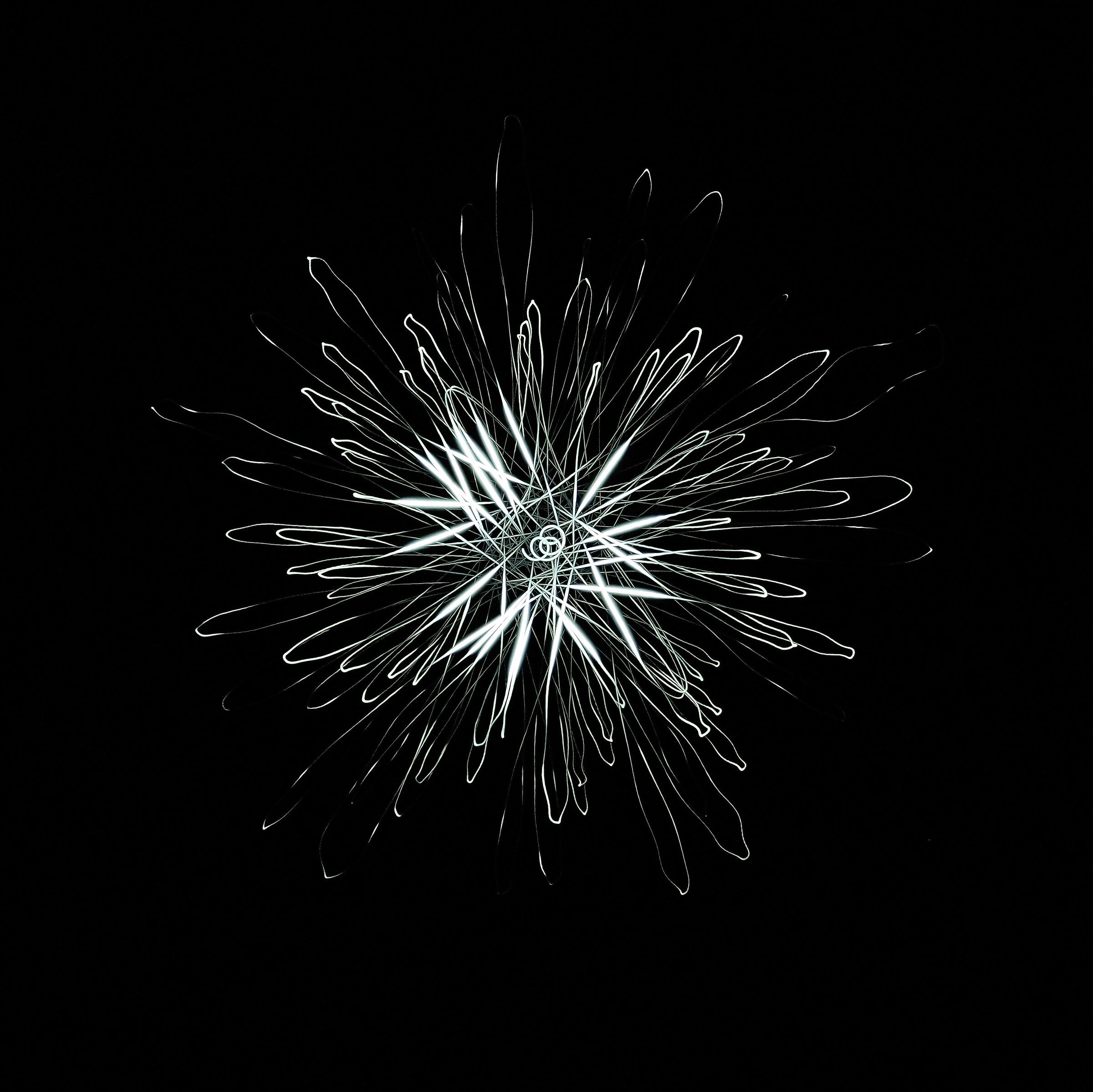 Physiogram 04 (rotaz.)