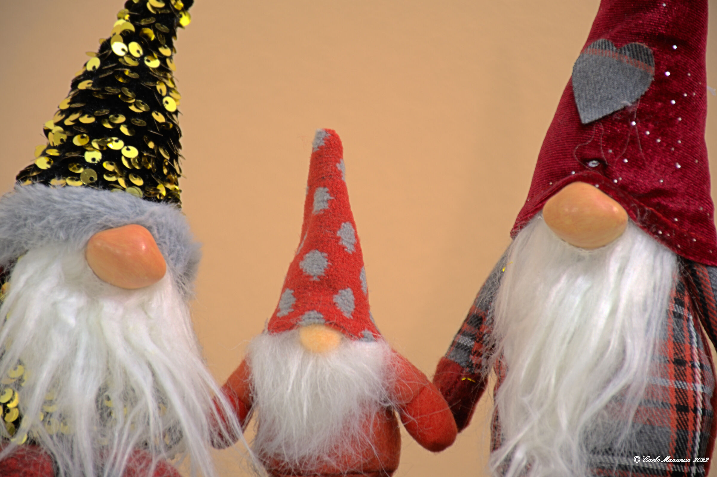 Gnomes 02