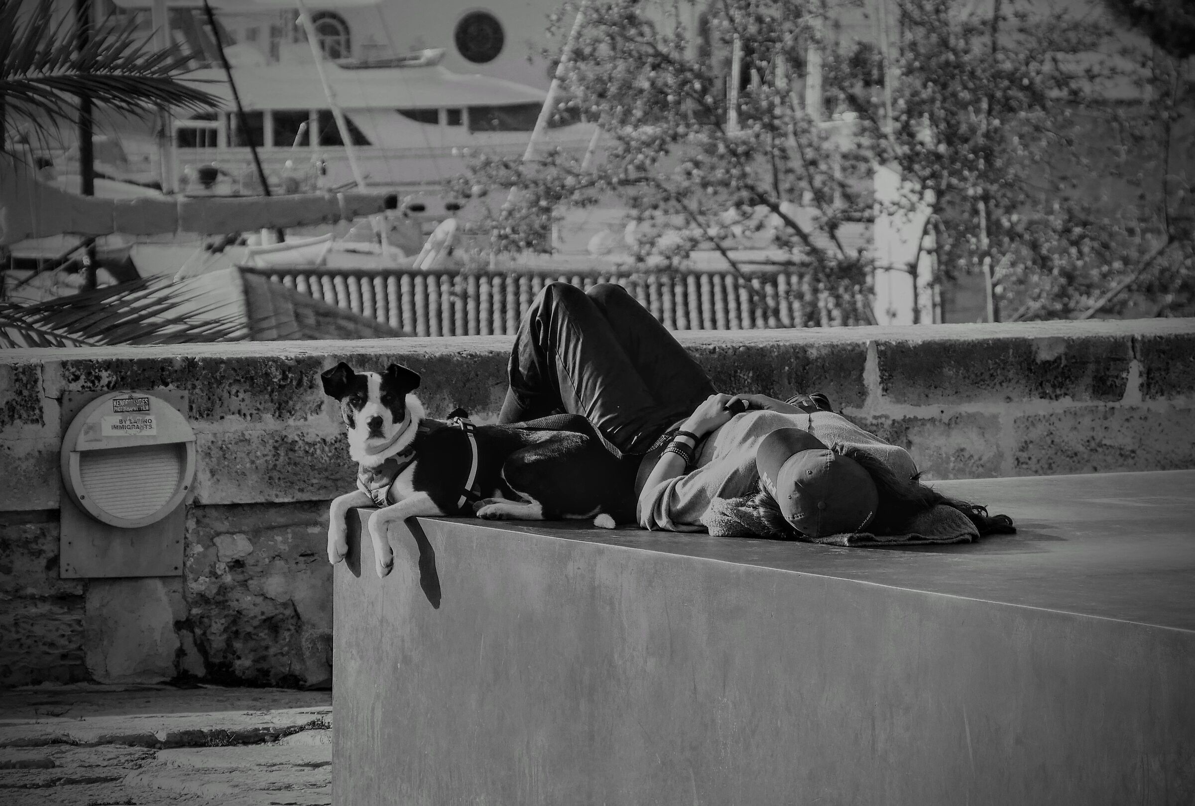 From Palma di Maiorca