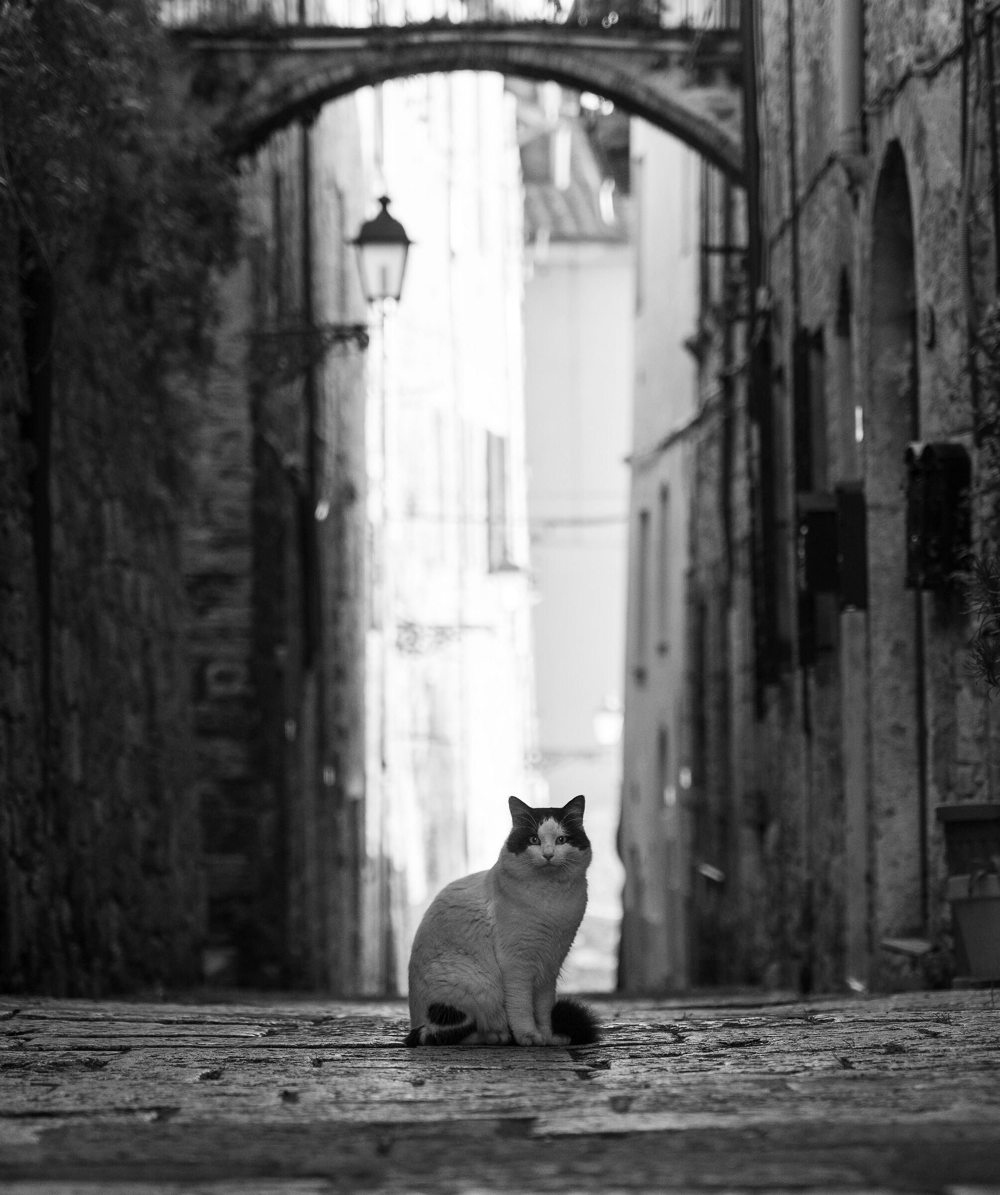 Colle di Val d'Elsa, Gennaio 2023