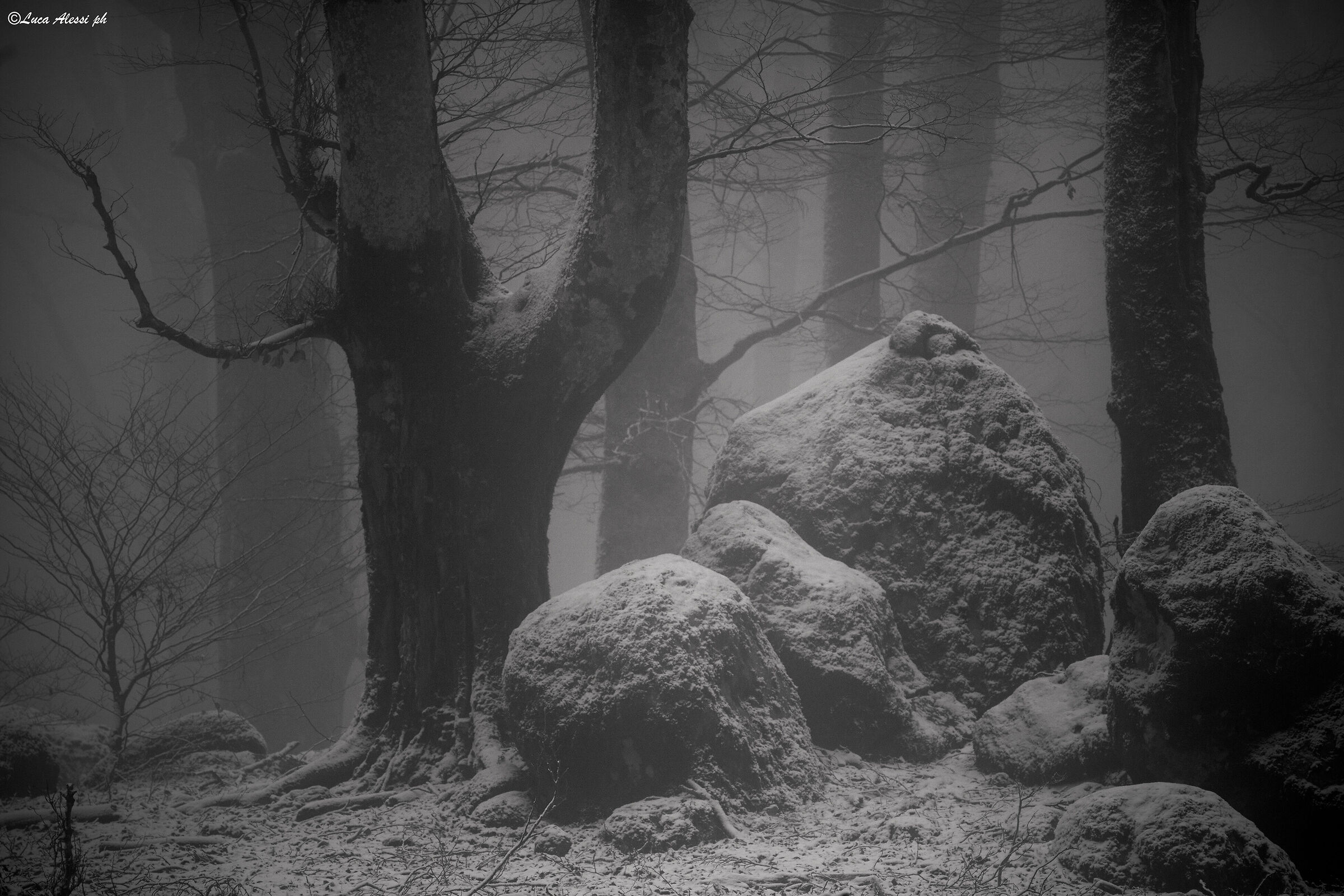 e' arrivato l'inverno