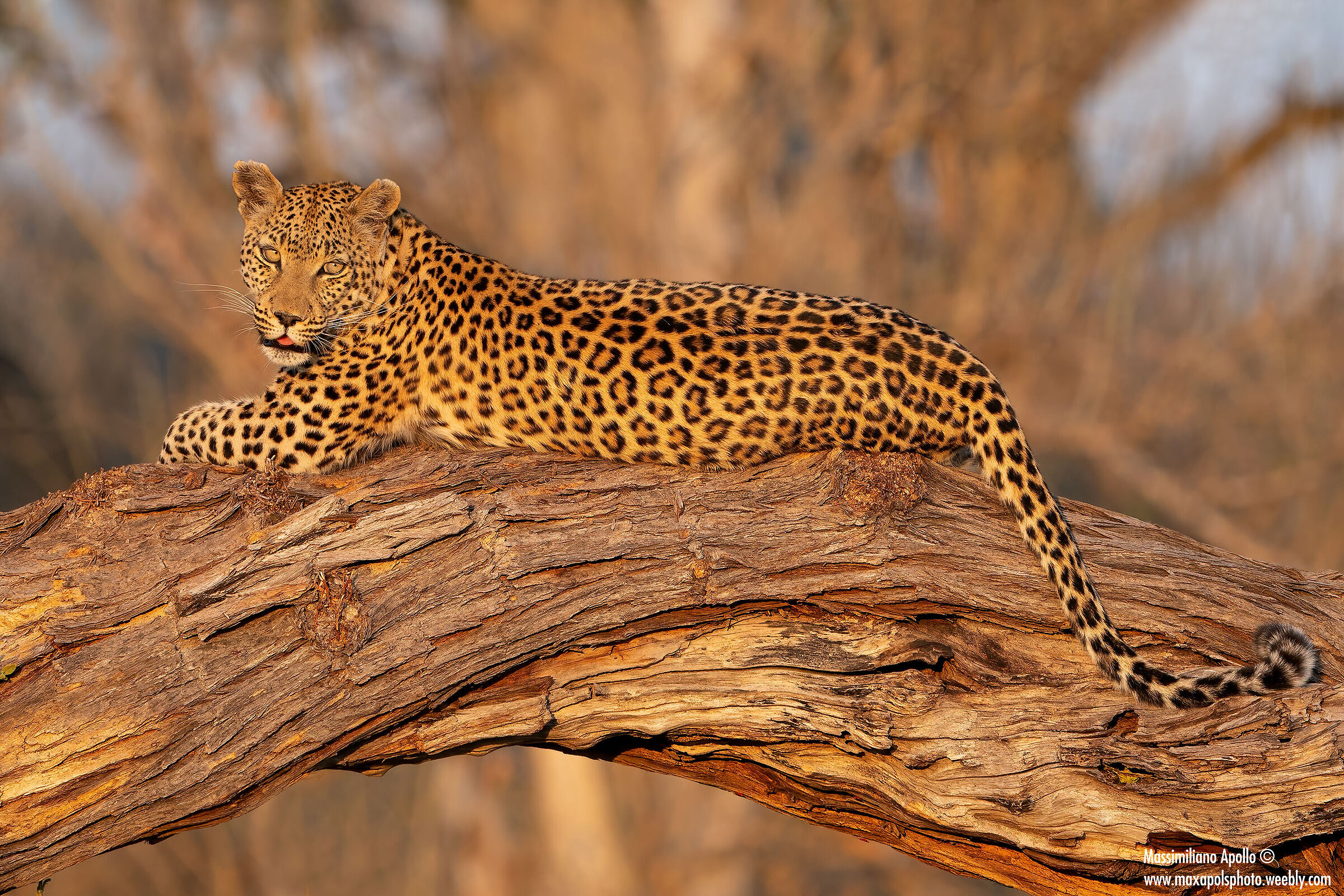 " relax al tramonto "