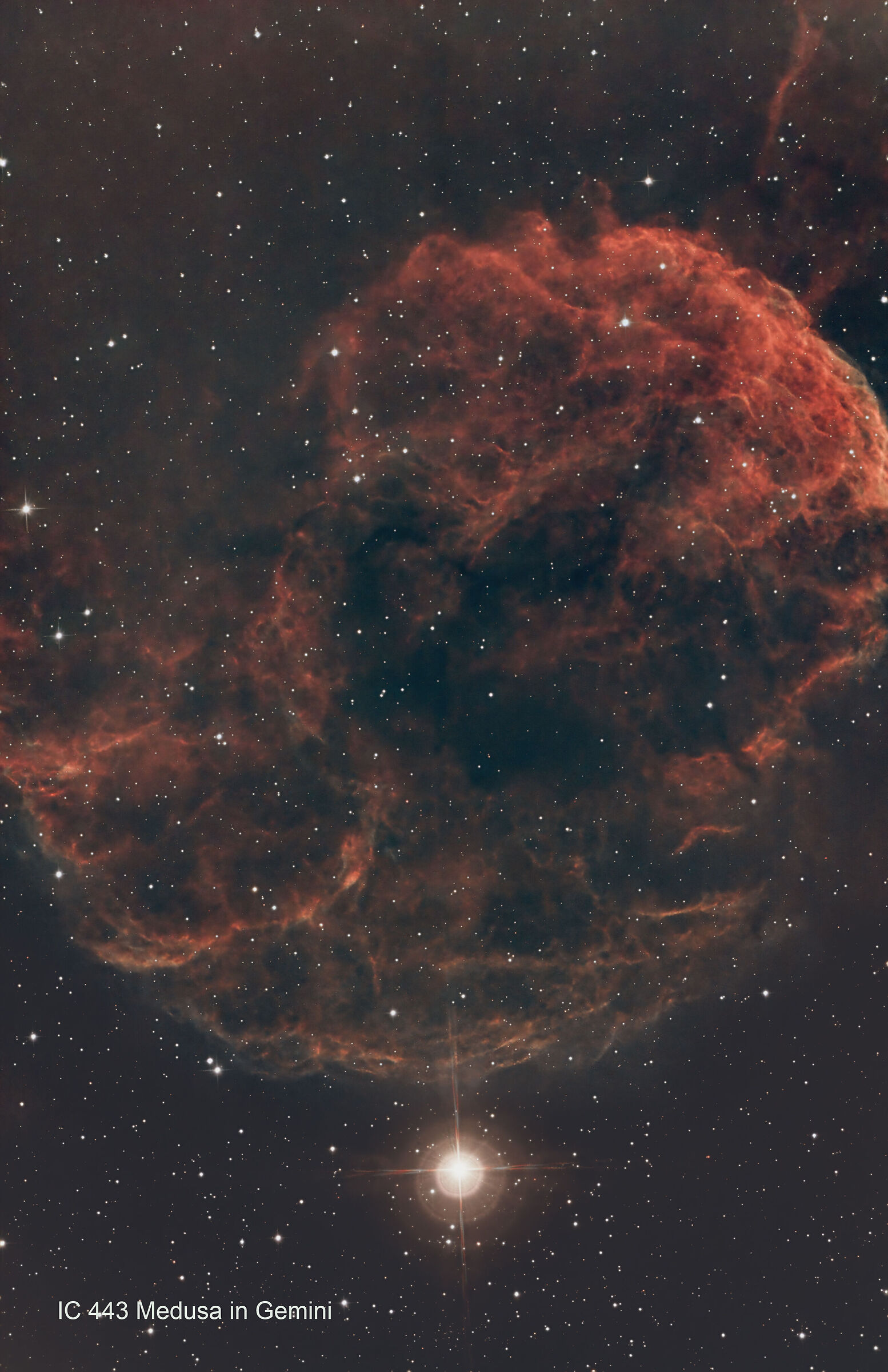 Ic443 Medusa in Gemini