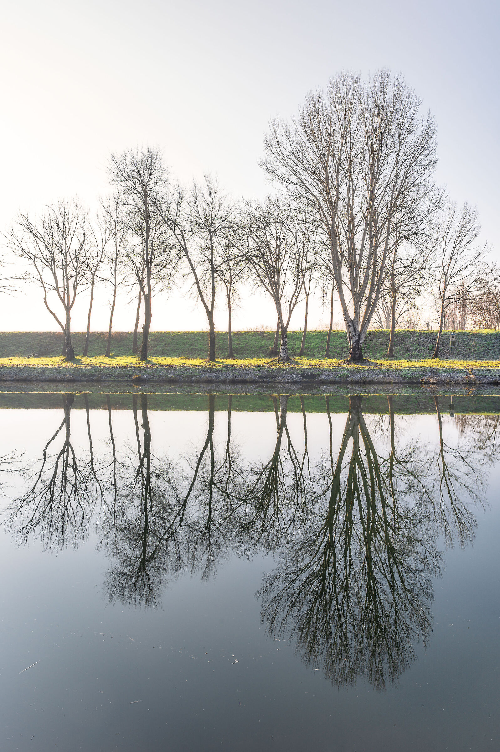 Riflessioni invernali