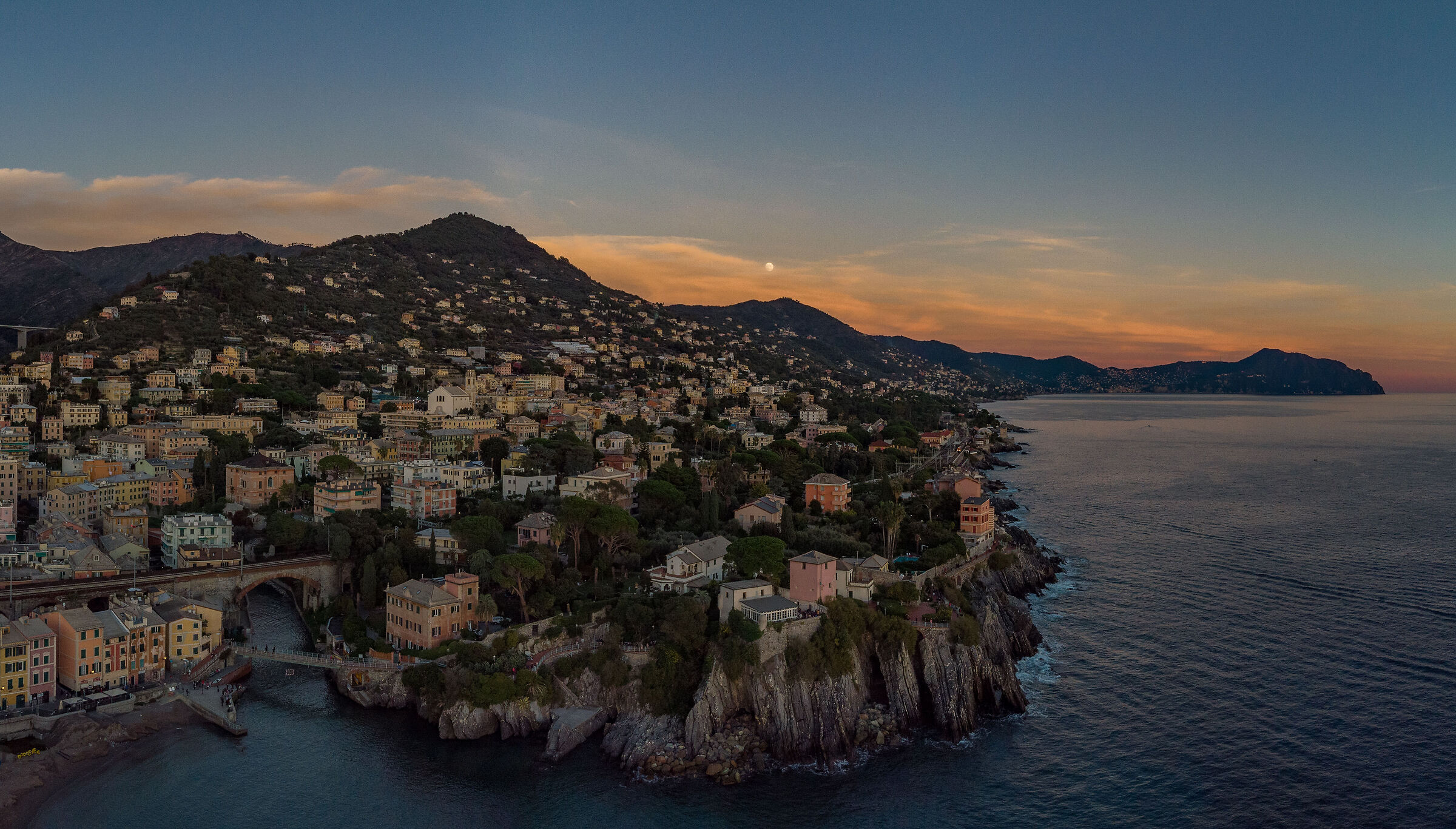 Nervi