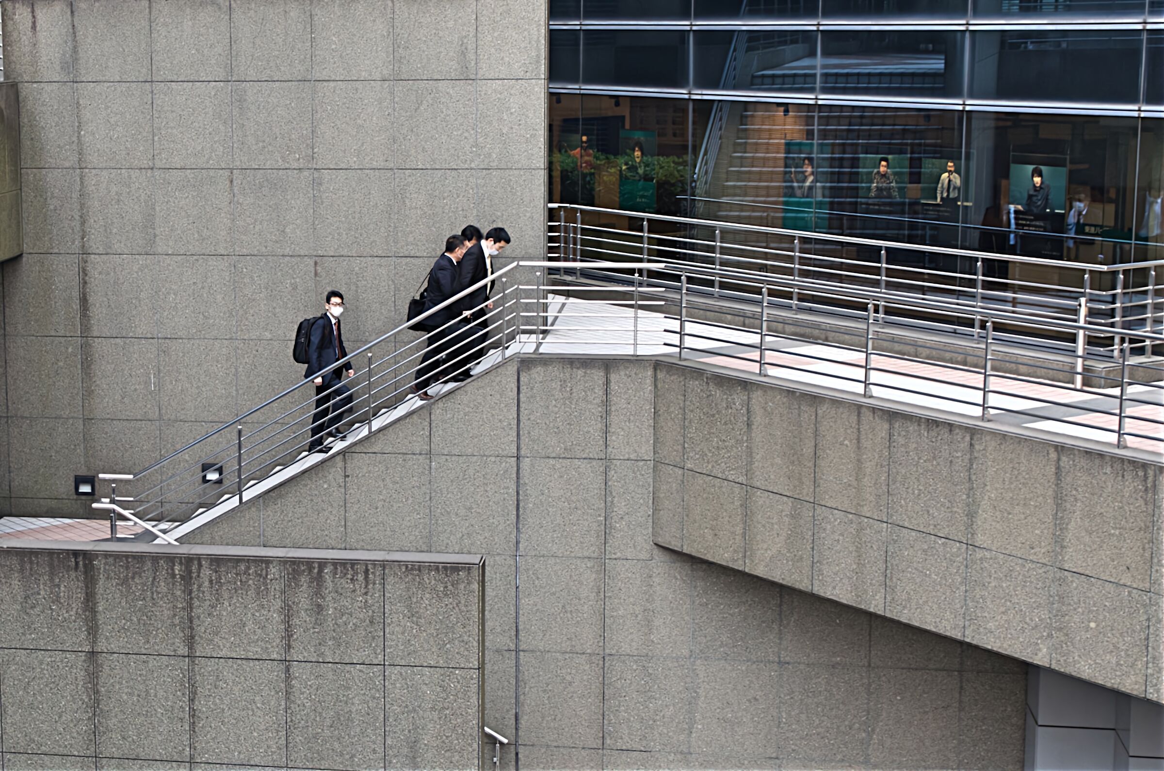 salita dal grigiore al colore