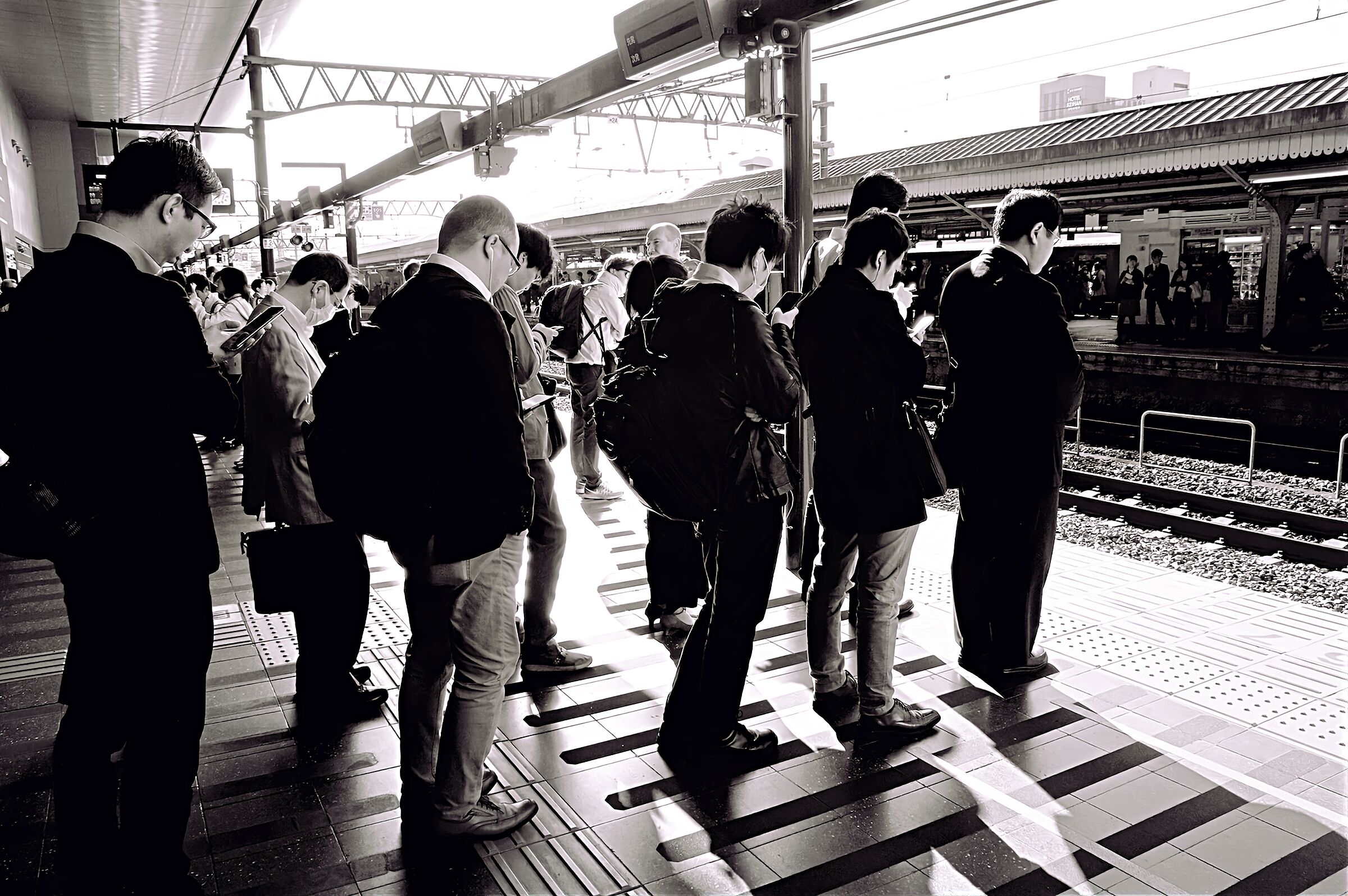 Disciplina nipponica