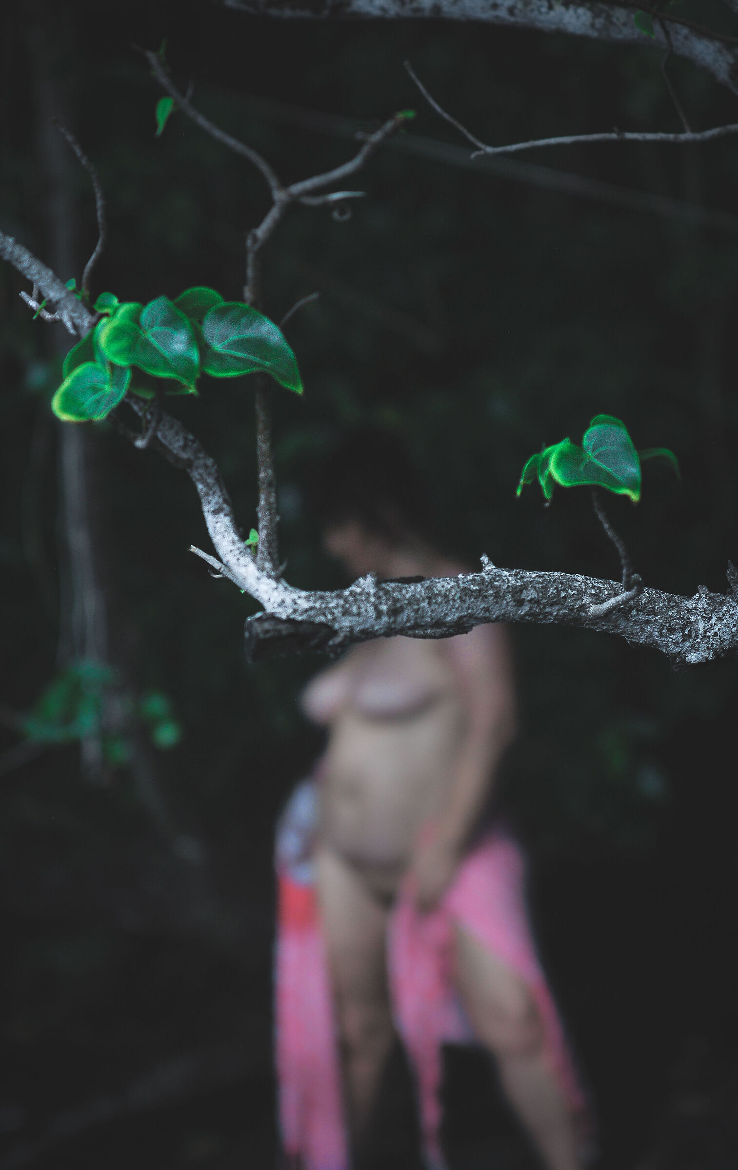 Capture