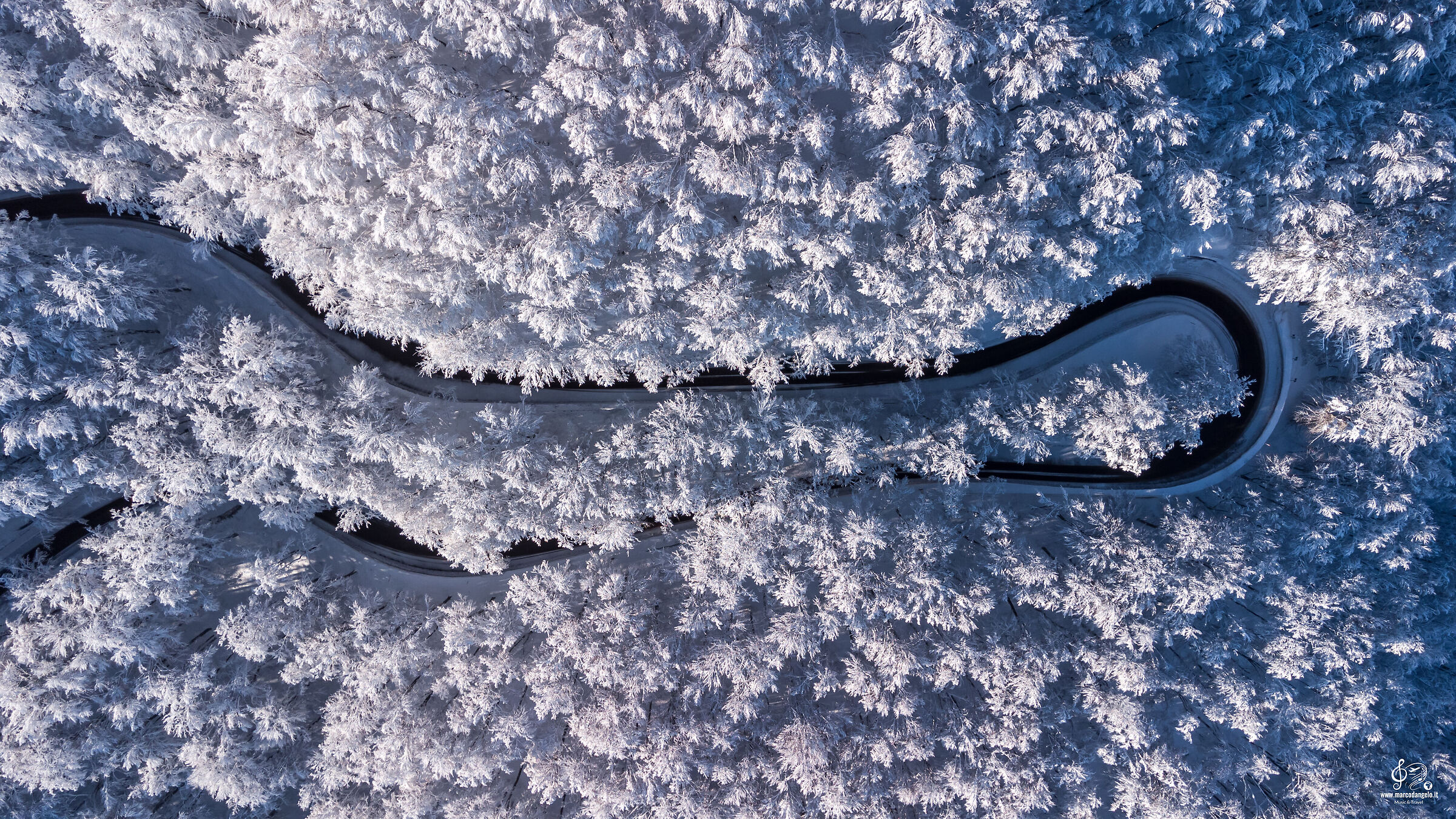 Maiella woods in winter