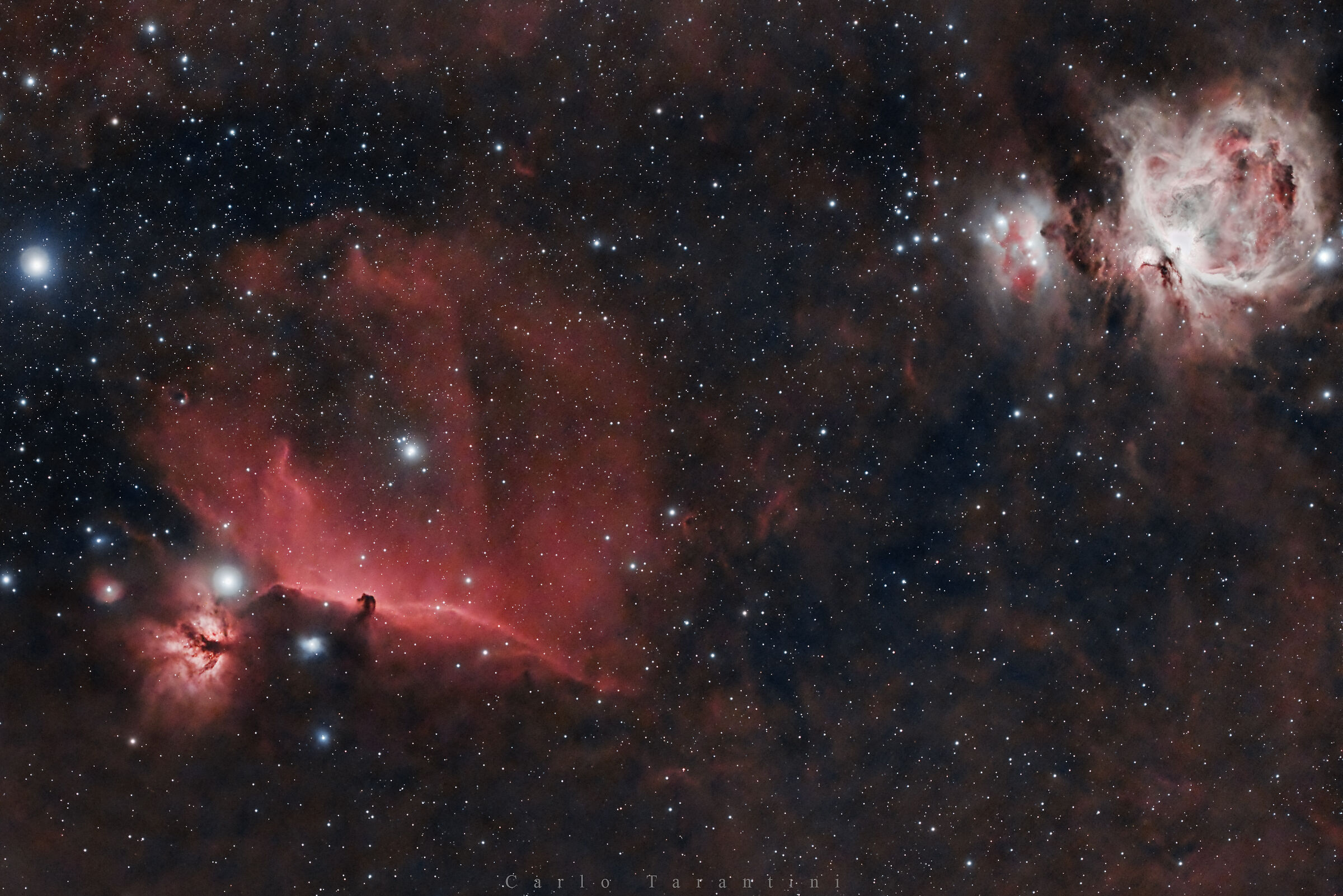 In the Orion region