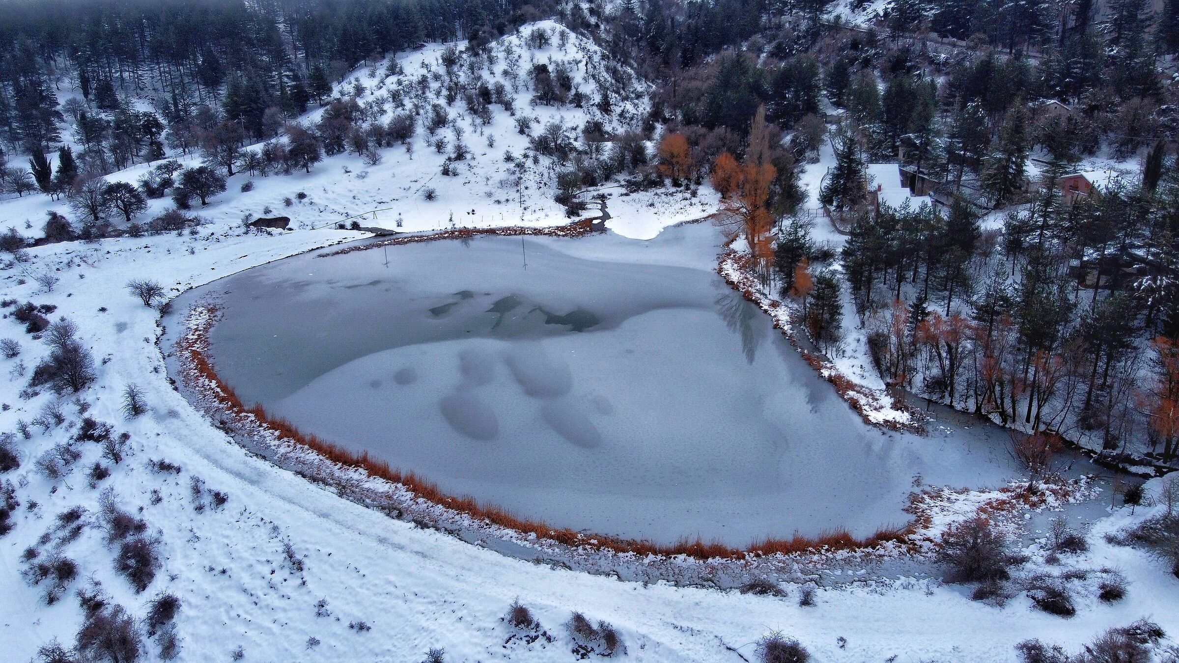 All " frozen "