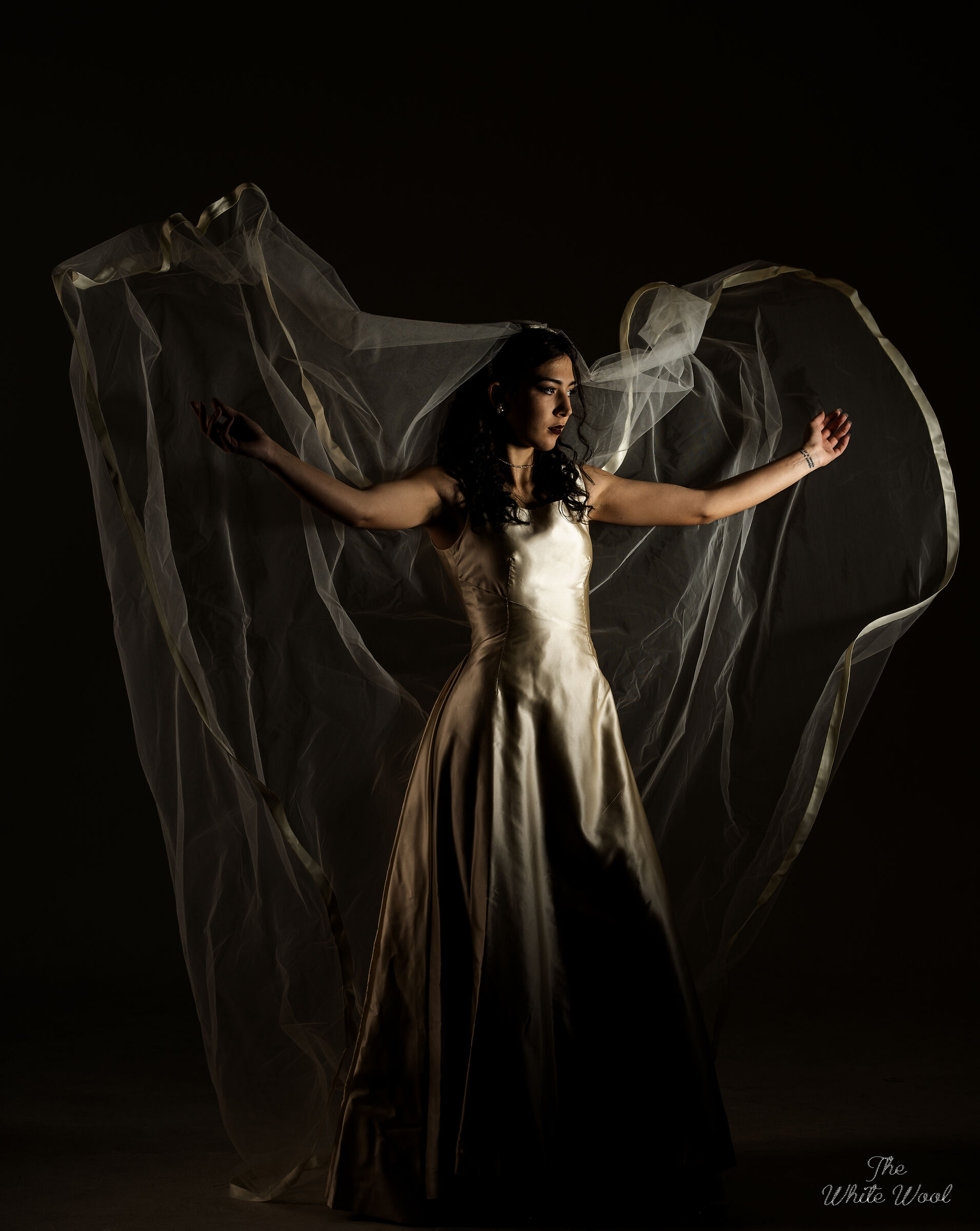 Bride in the Dark