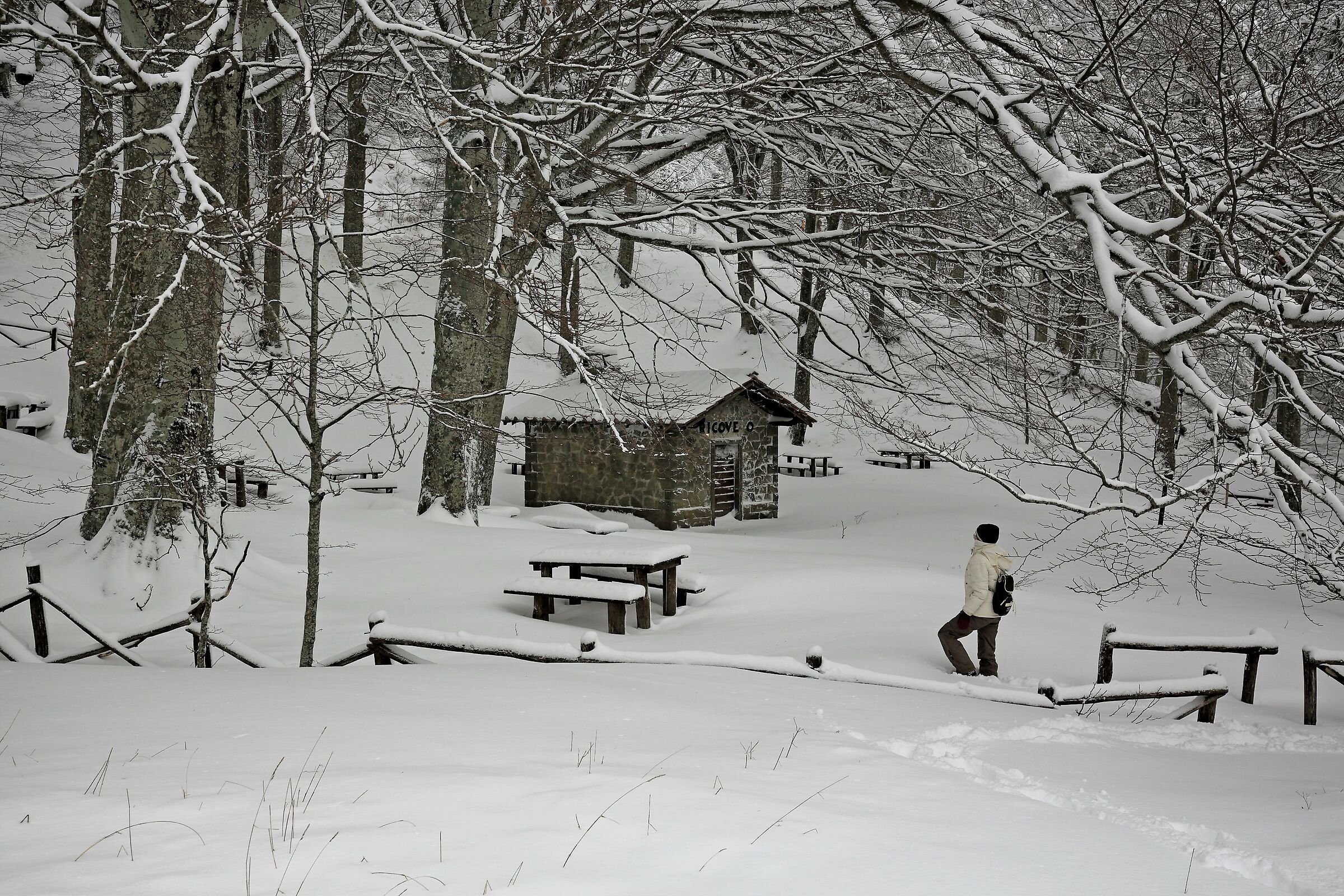 "Sister Snow has arrived"