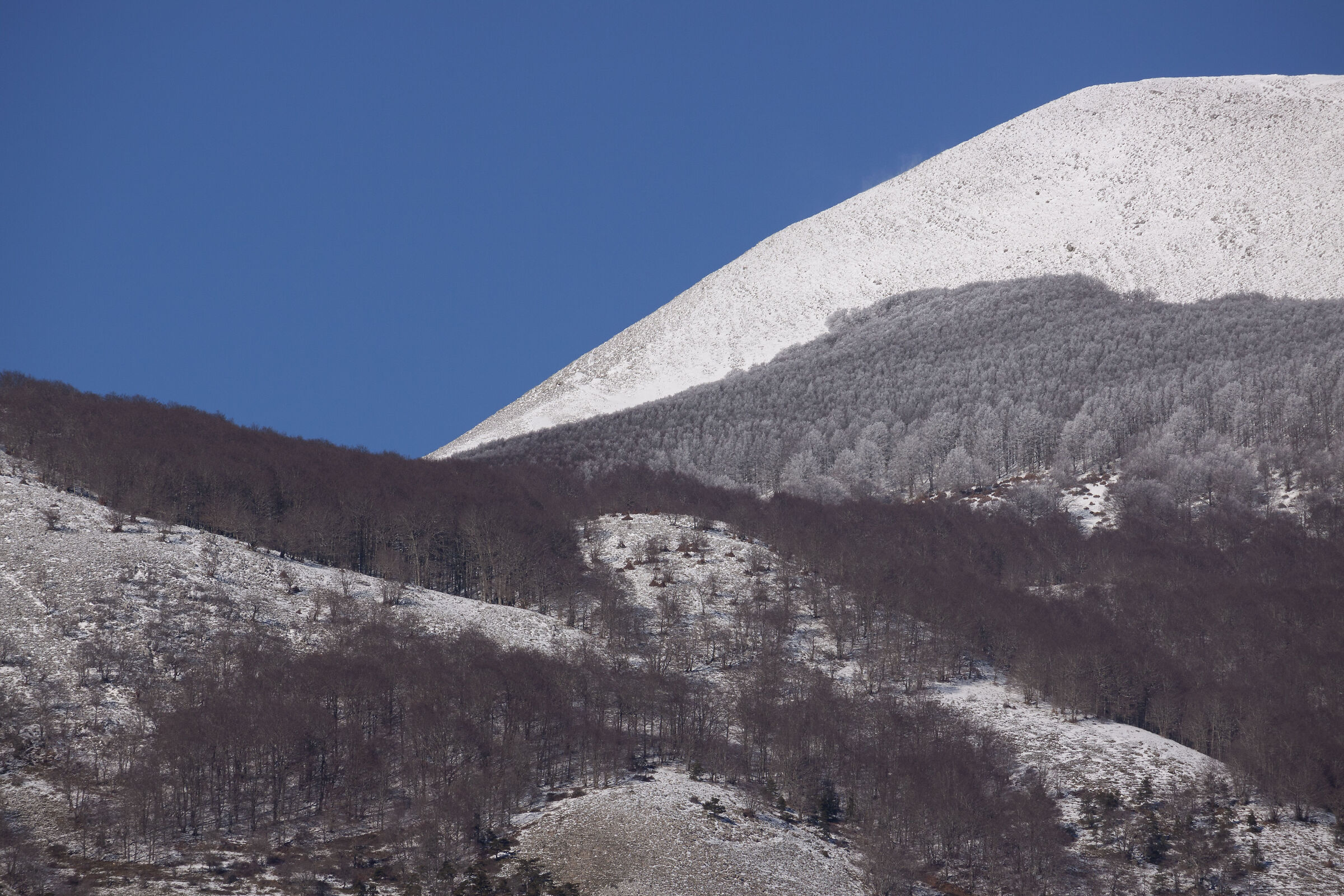 Snow